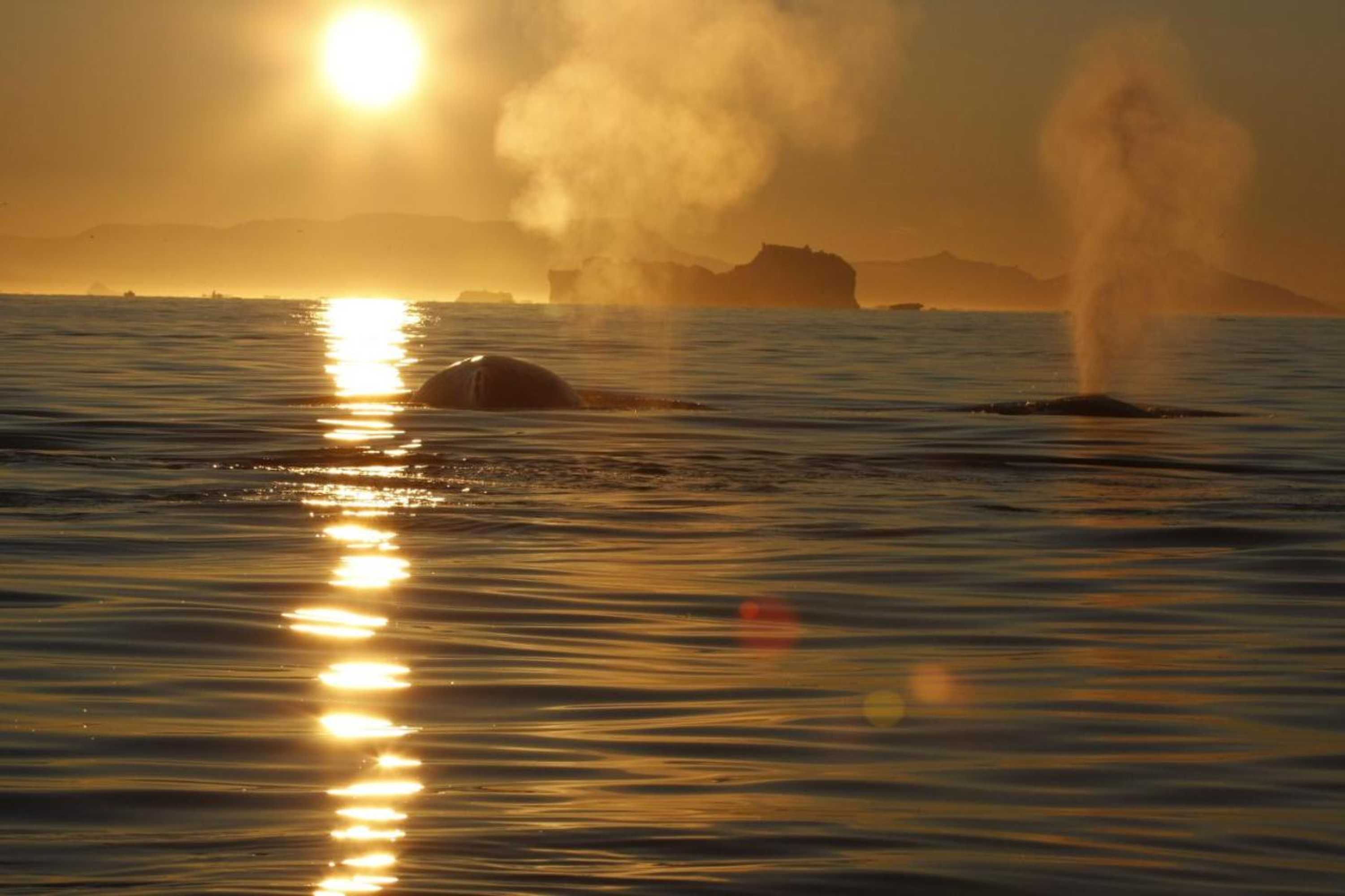 Gift card for Hotel Icefiord Gift card for Hotel Icefiord