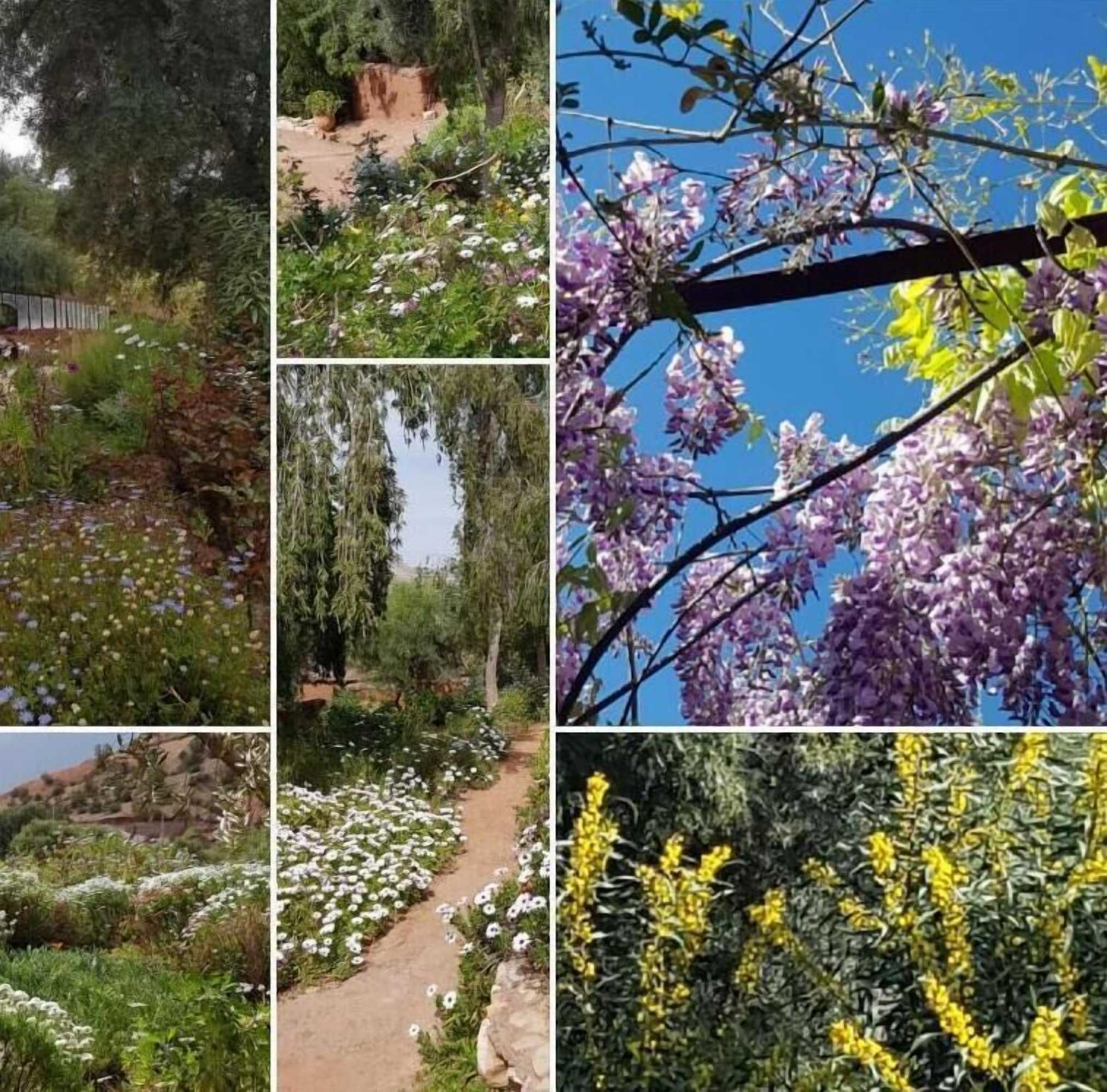 Gift card for Domaine La Source