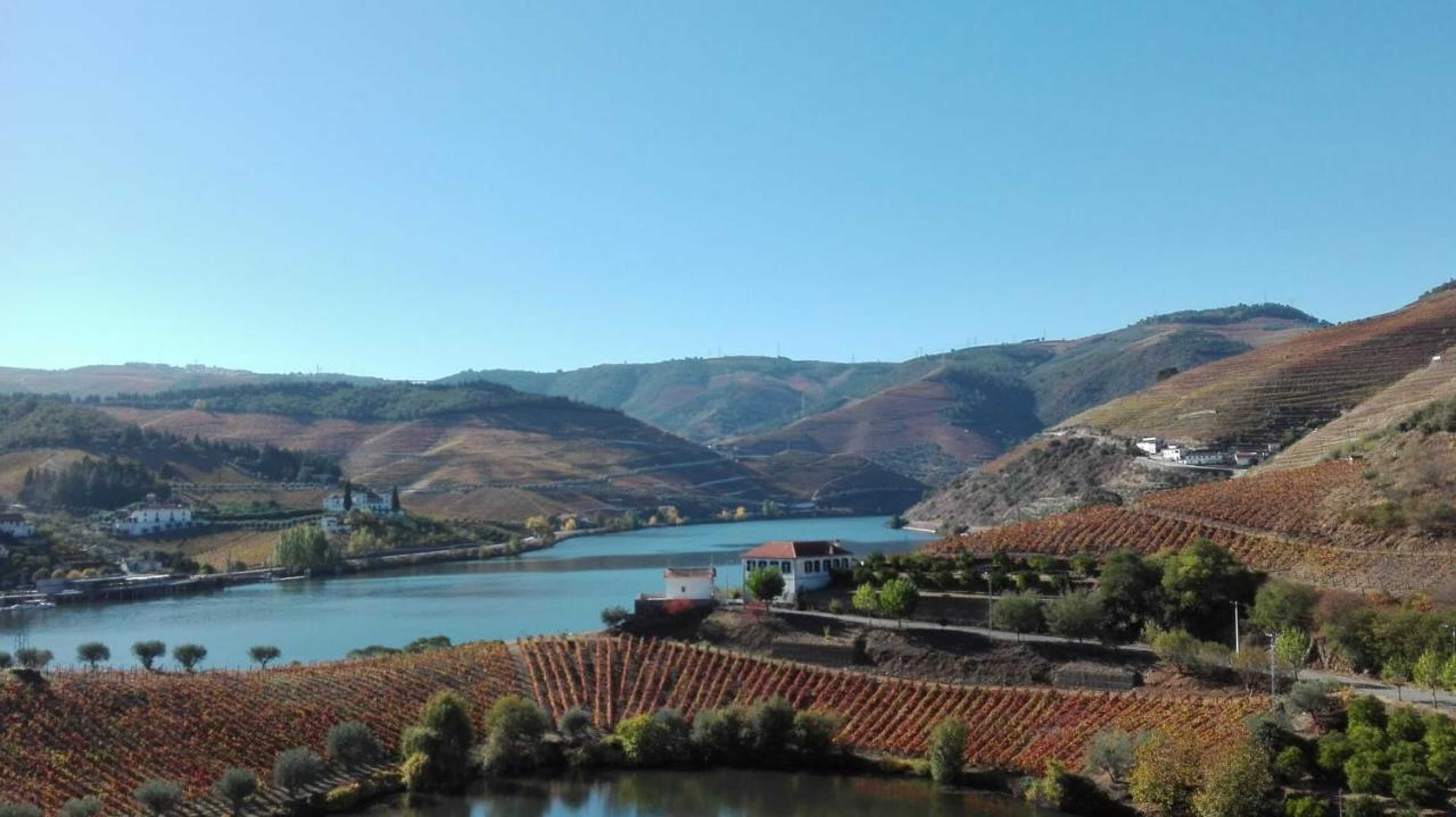 Gift card for Quinta da Travessa