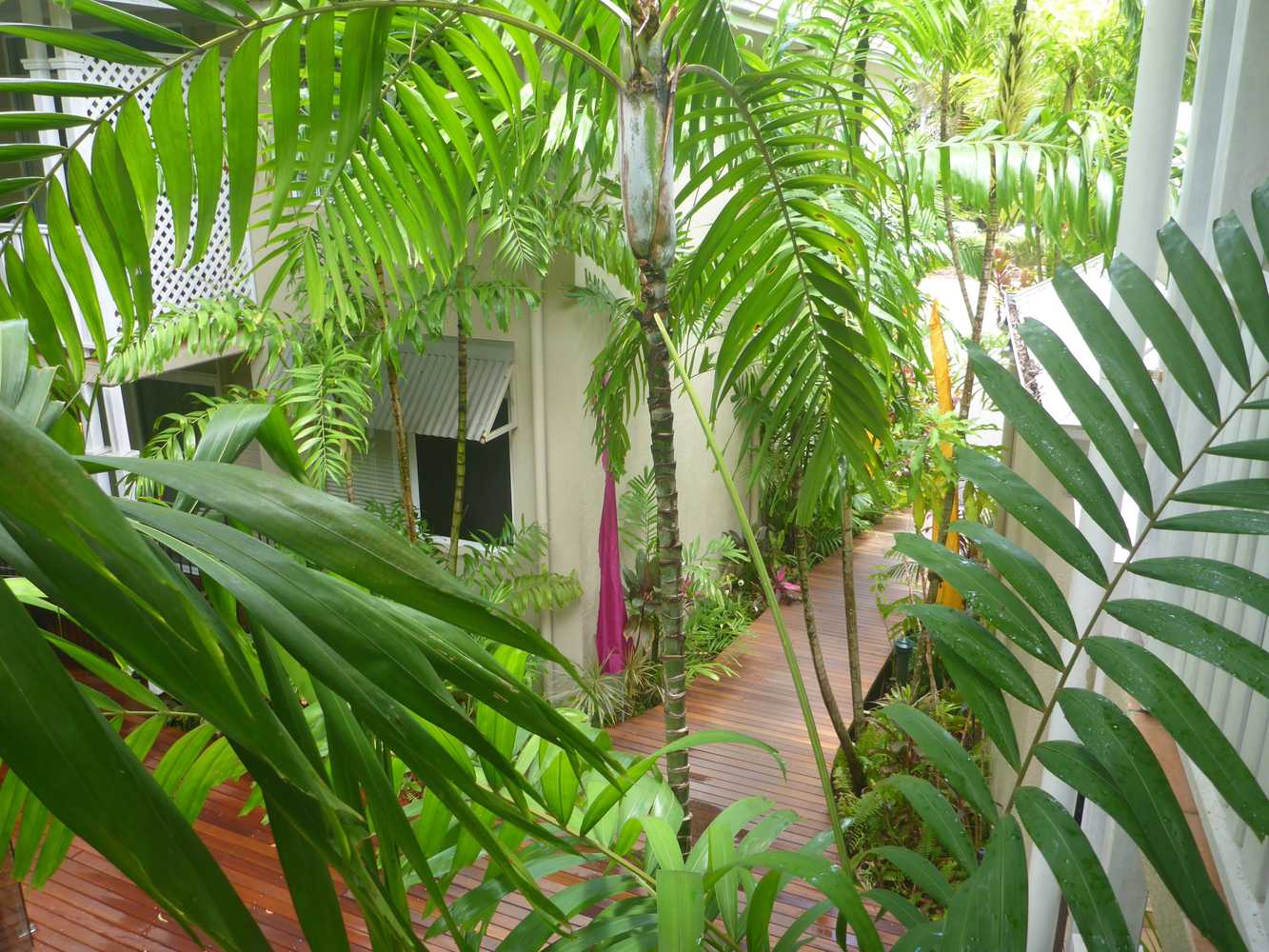 Gift card for Palm Cove Tropic Apartments Gift card for Palm Cove Tropic Apartments