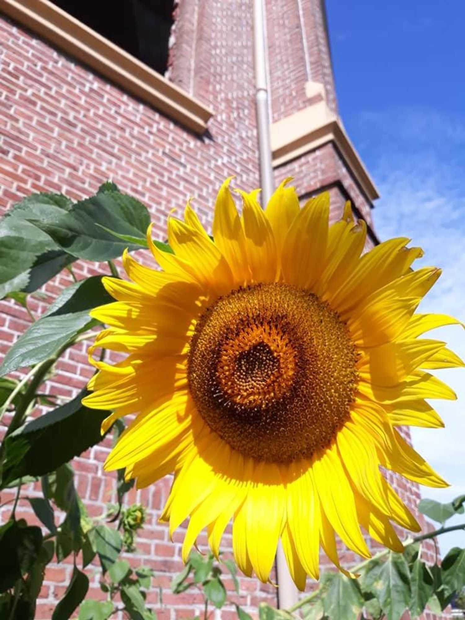 Gift card for Mauritiuskerk B&b