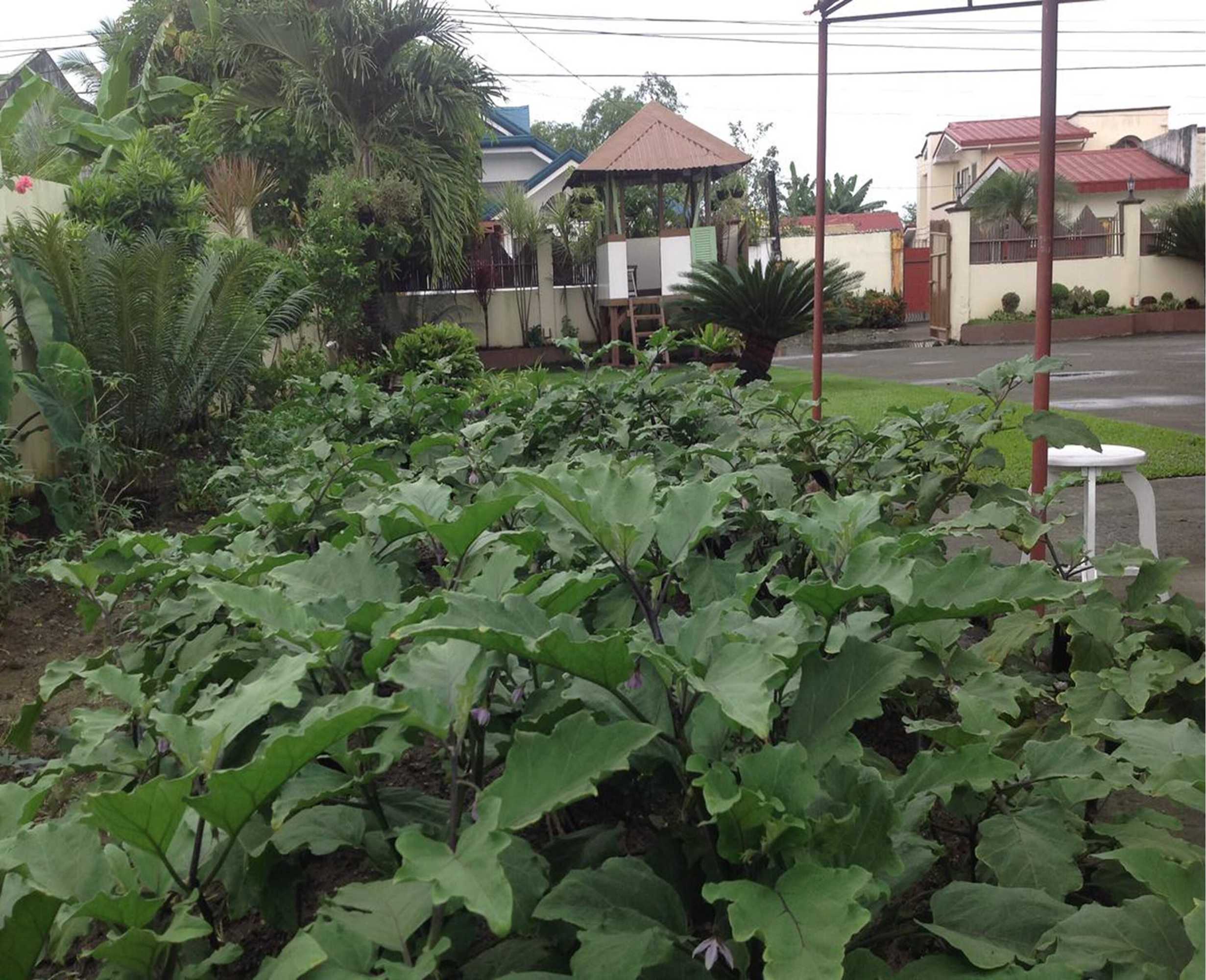 Gift card for Danel Pensionne House