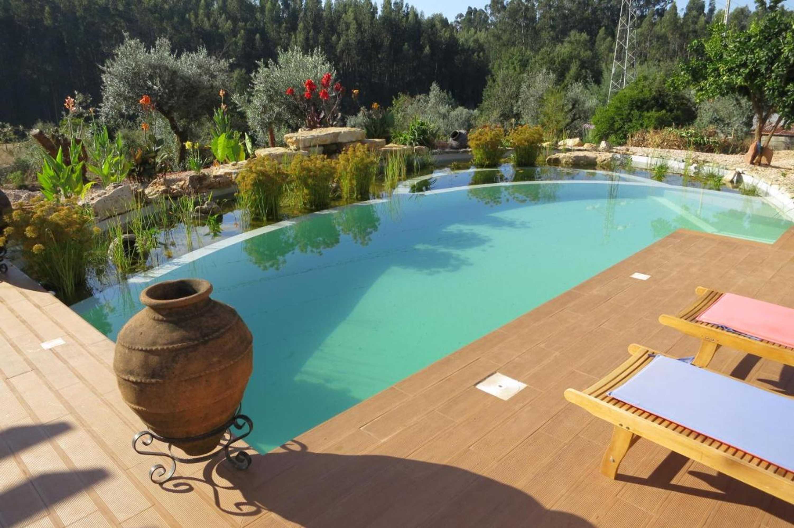 Gift card for Casa Azul