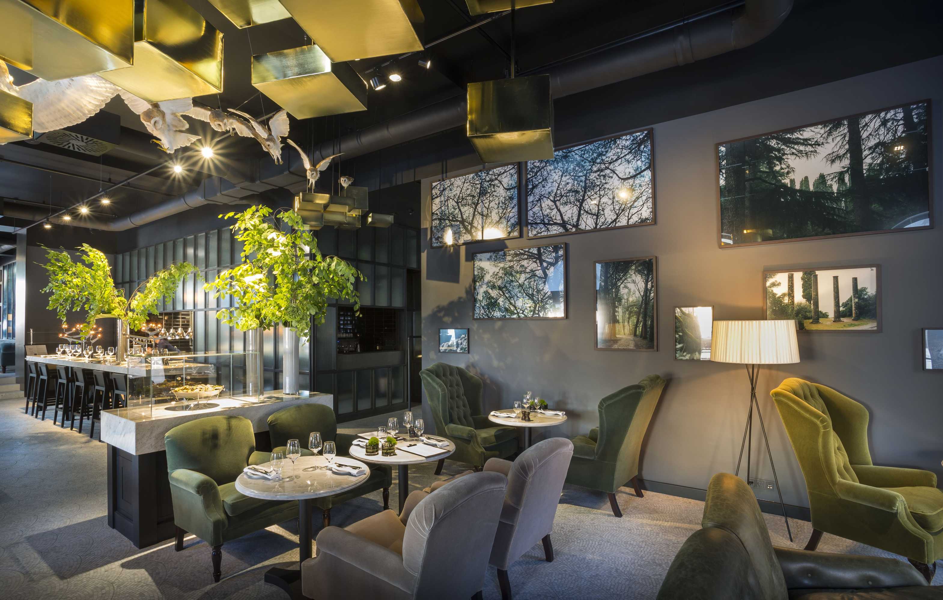 Gift card for Adriatic Hotel by Maistra Collection Gift card for Adriatic Hotel by Maistra Collection