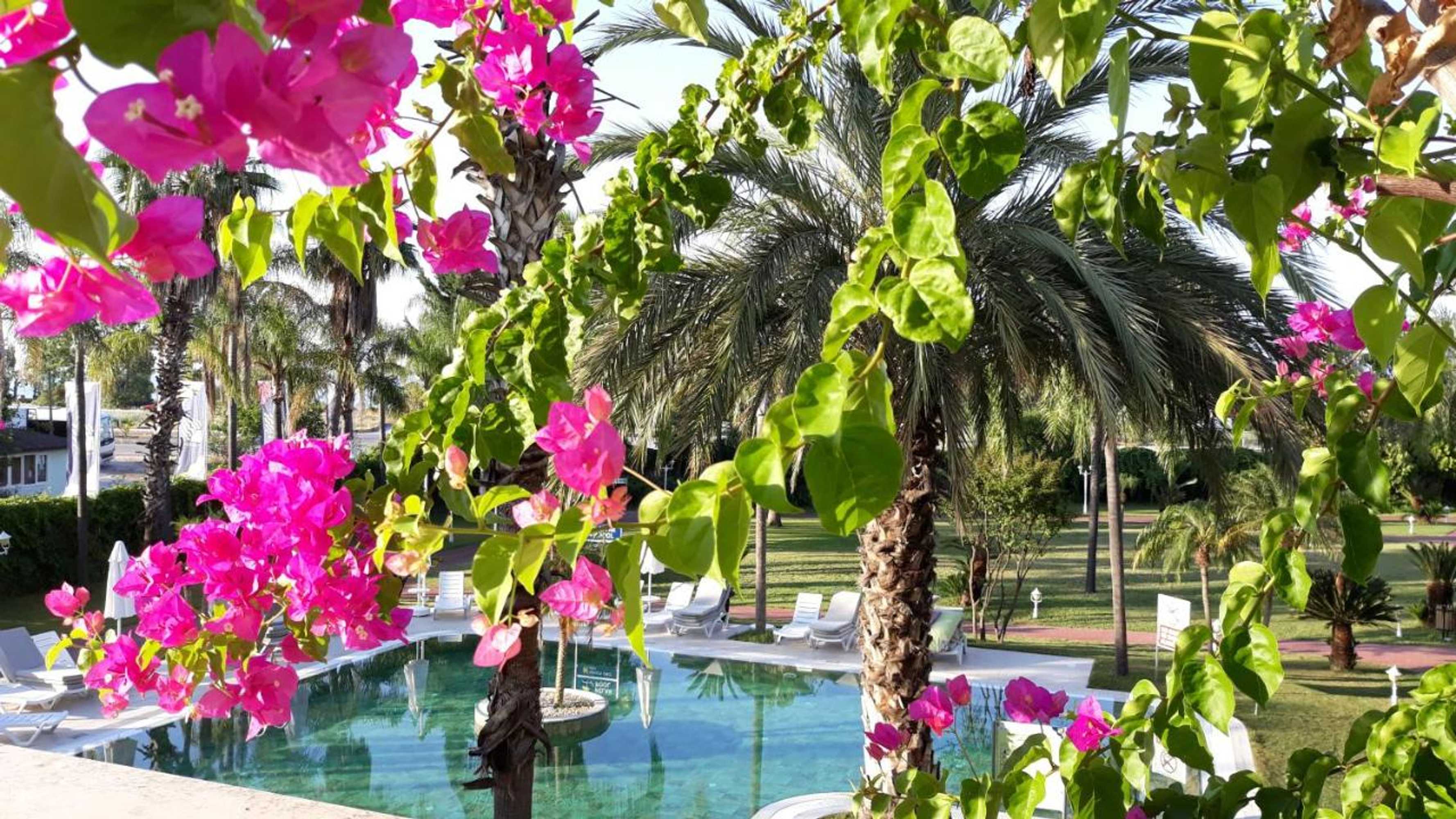 Gift card for Presa Di Finica