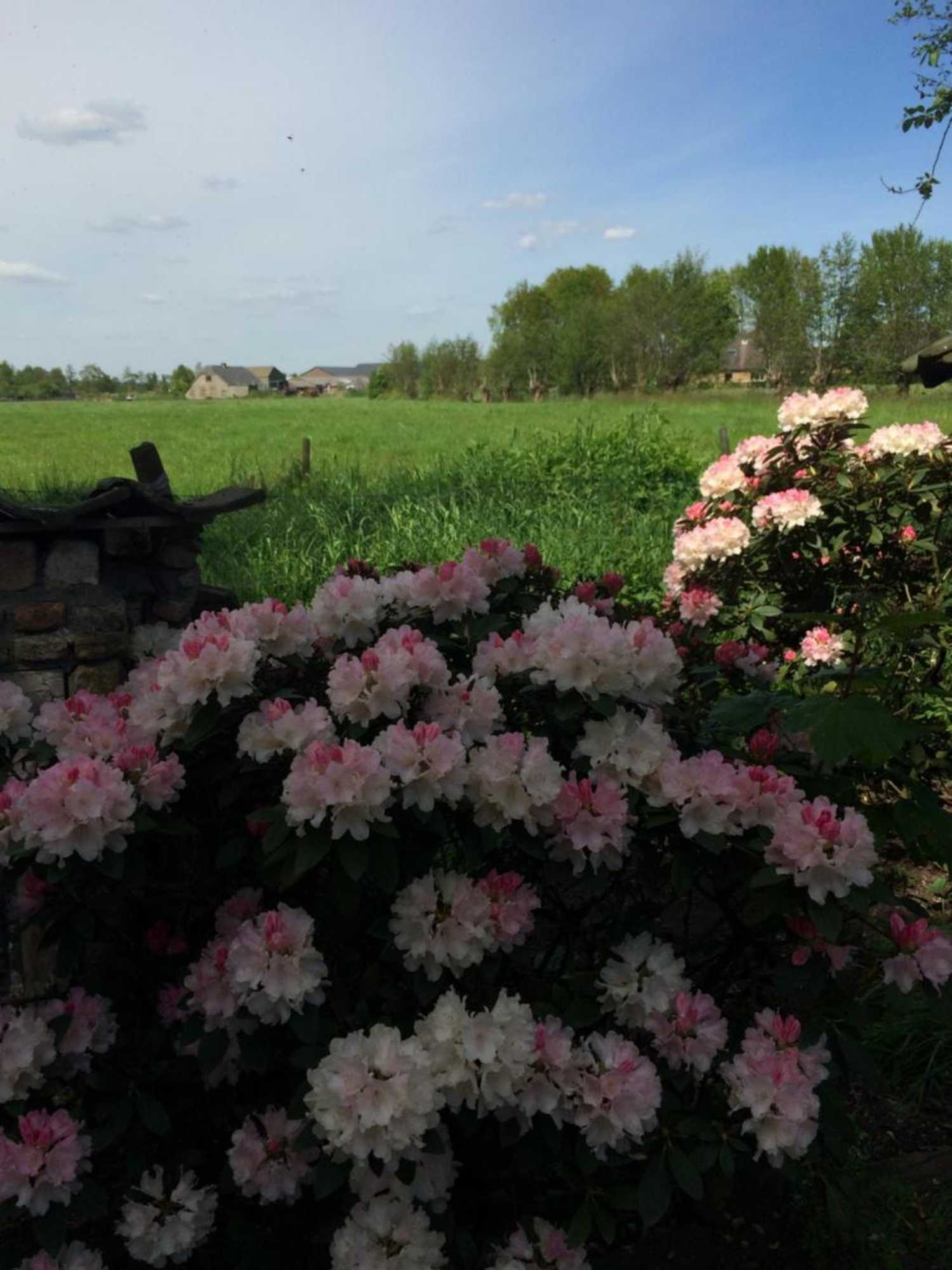 Gift card for B&b De Lotus