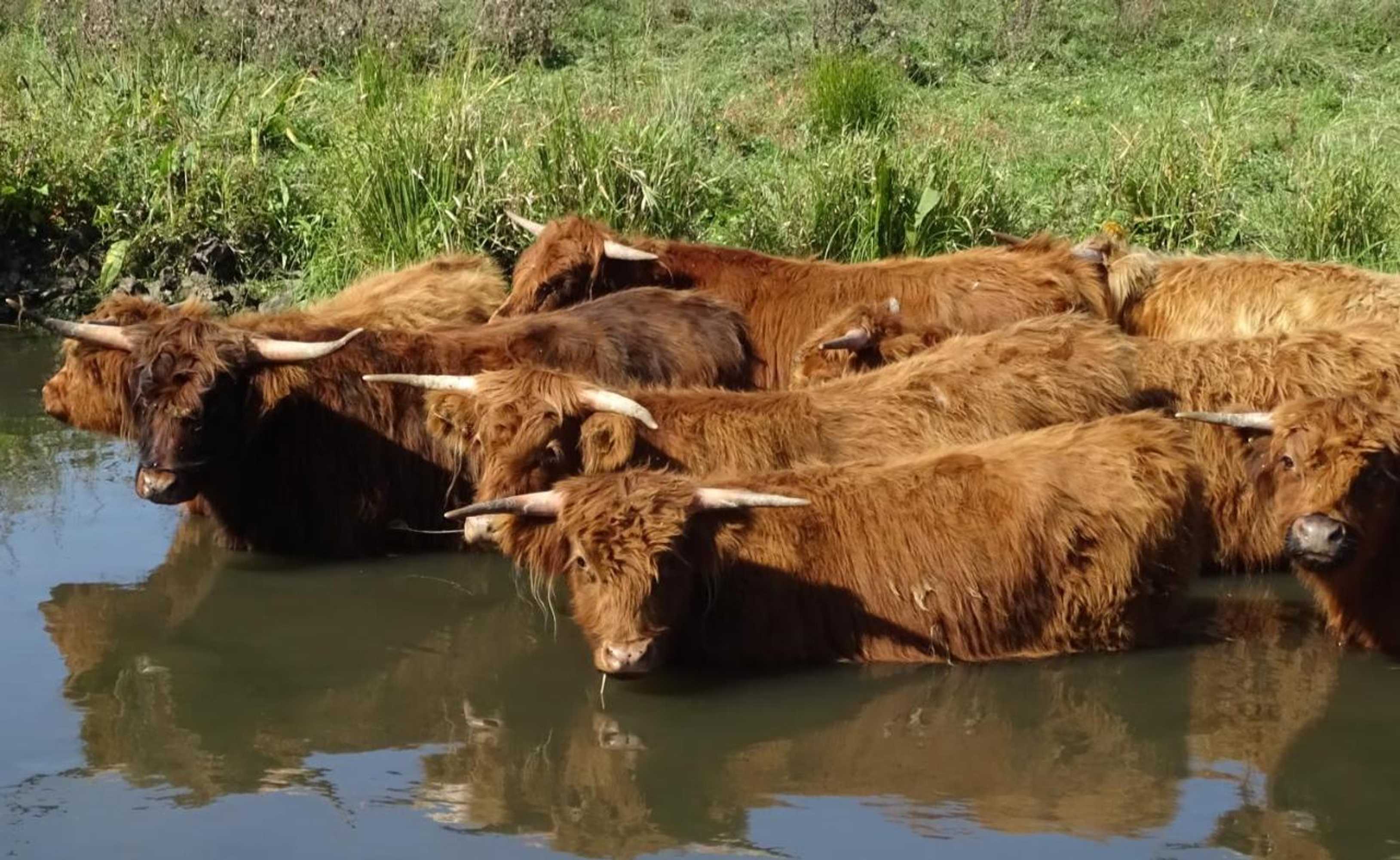 Gift card for De Oude Stoffeerderij