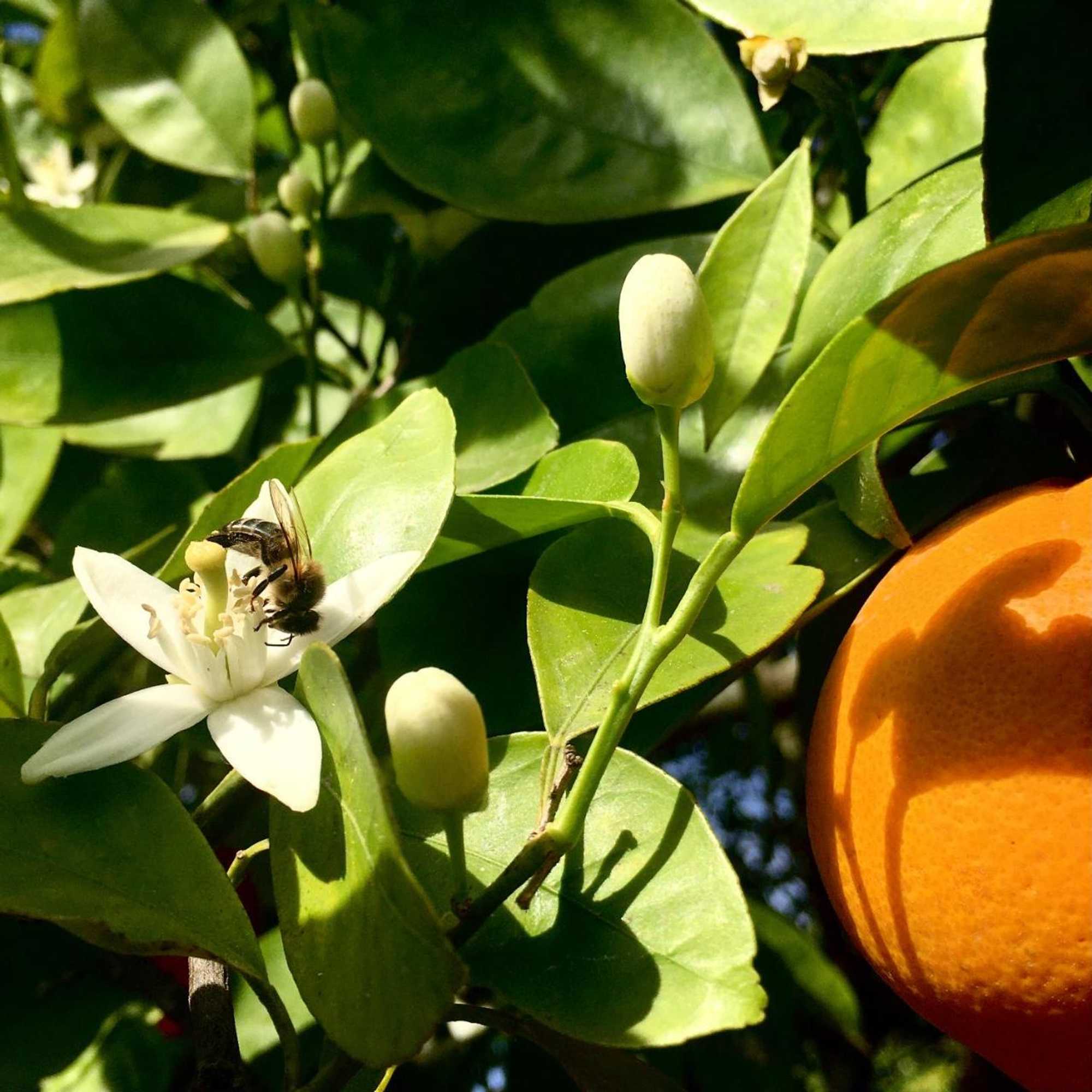 Gift card for Hostel Douro Backpackers