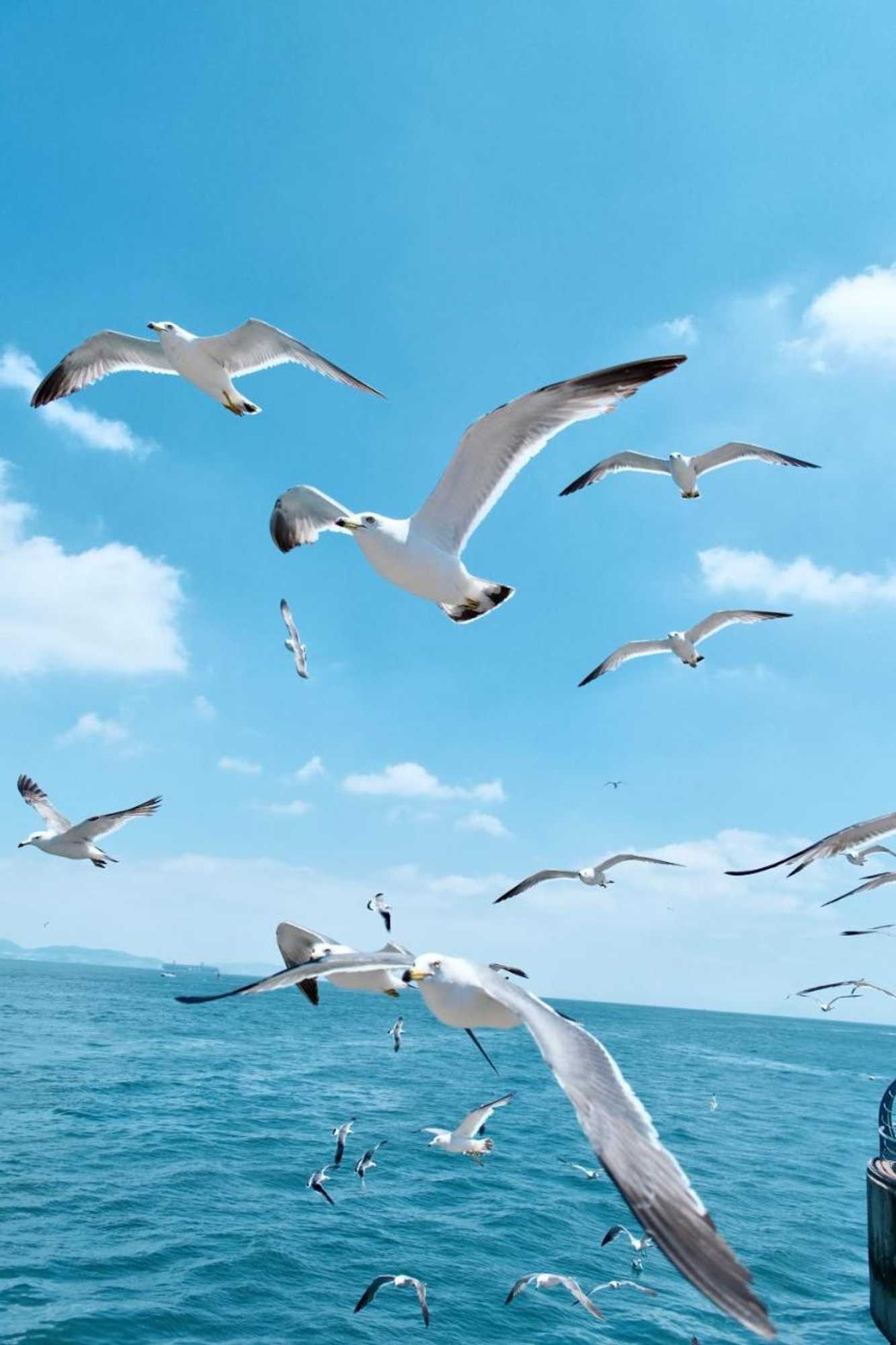 Gift card for Hampton by Hilton Qinhuangdao Jinmeng Bay