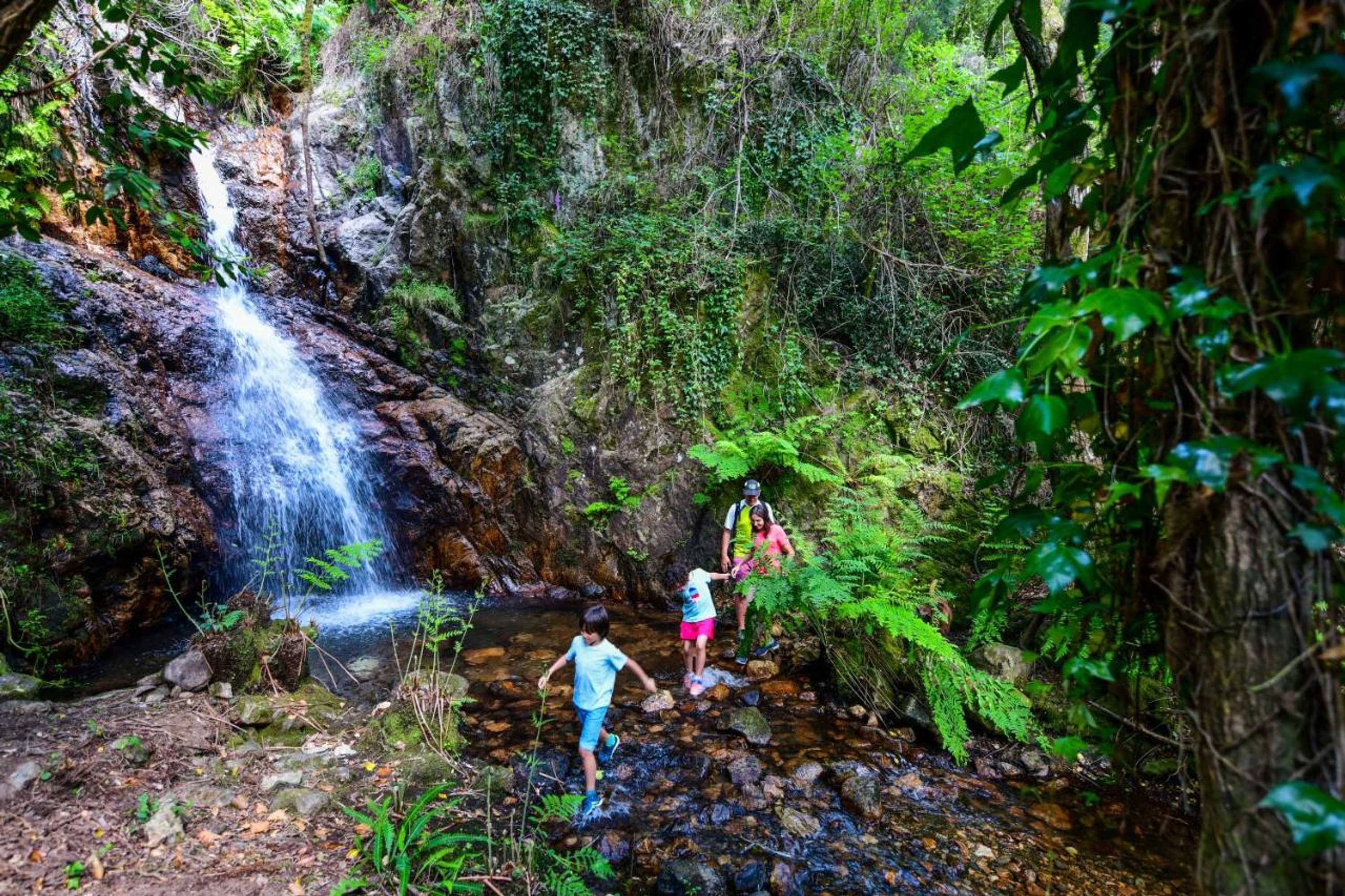 Gift card for Vale do Ninho Nature Houses