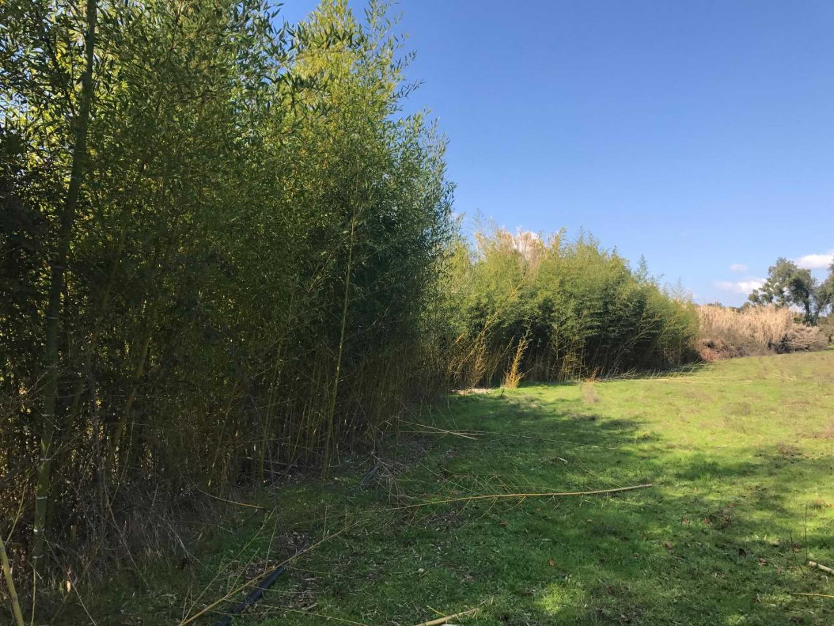 Gift card for Monte Das Texugueiras - Adults Only Gift card for Monte Das Texugueiras - Adults Only