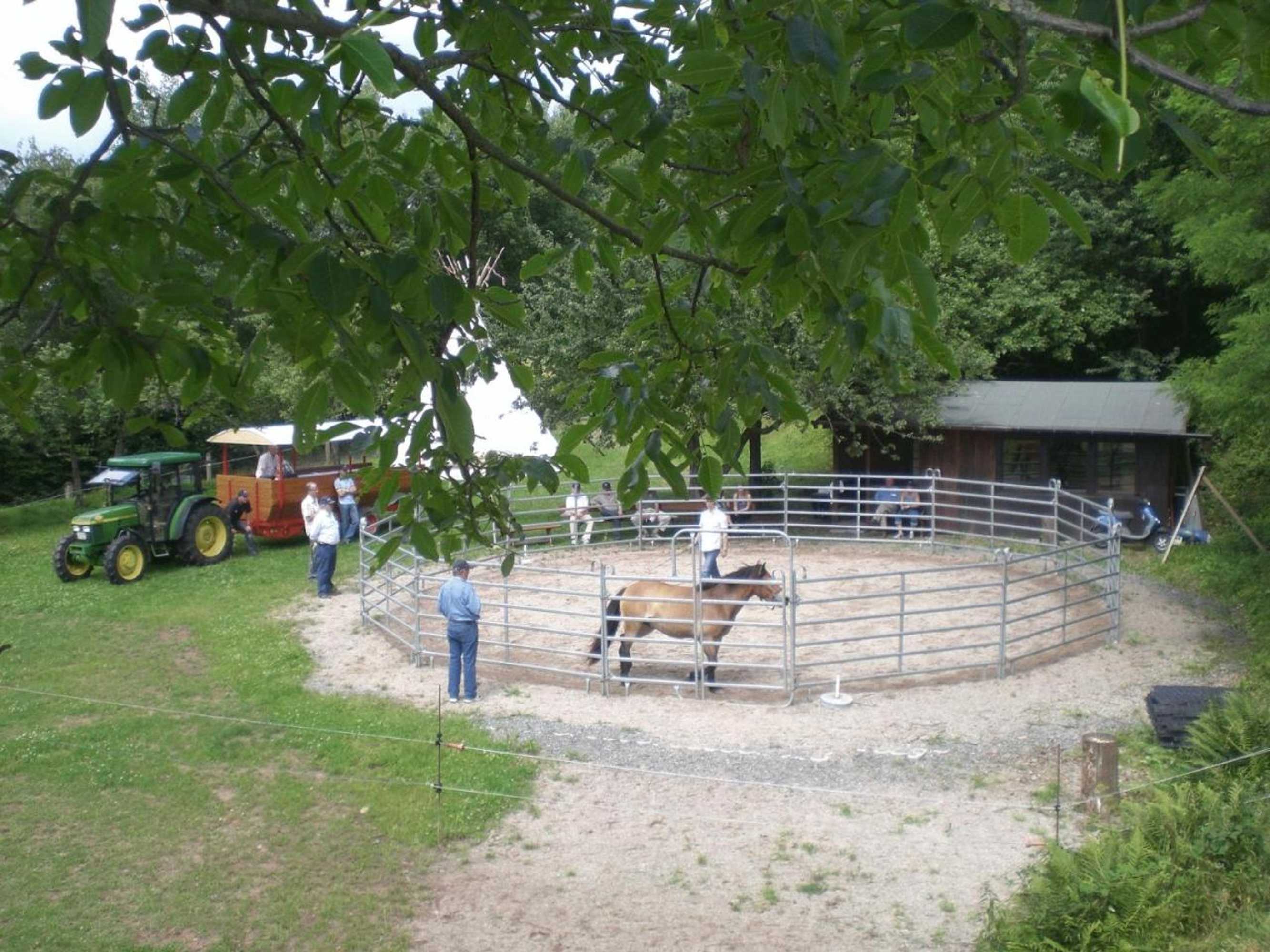 Gift card for Hotel Hirsch