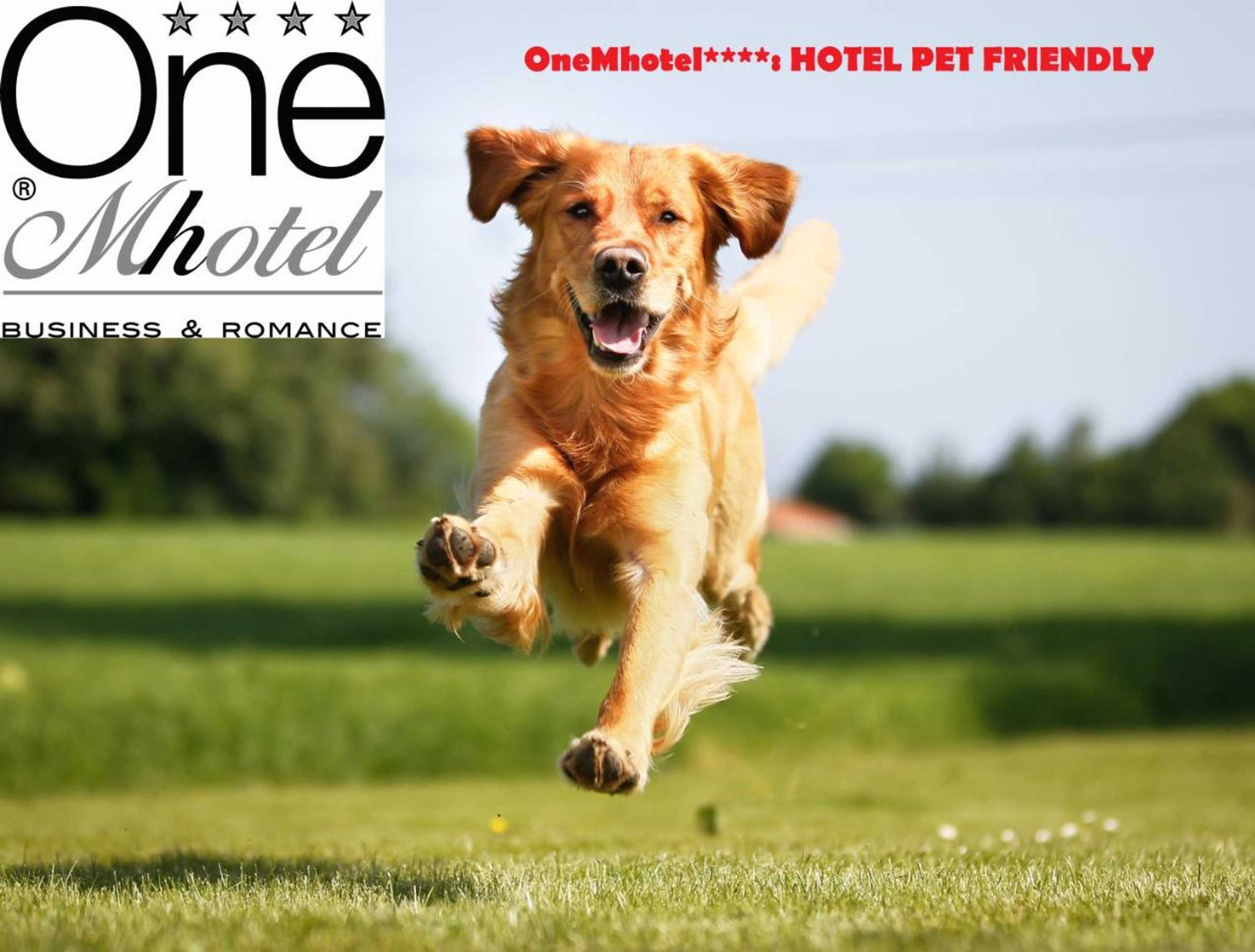 Gift card for Onemhotel