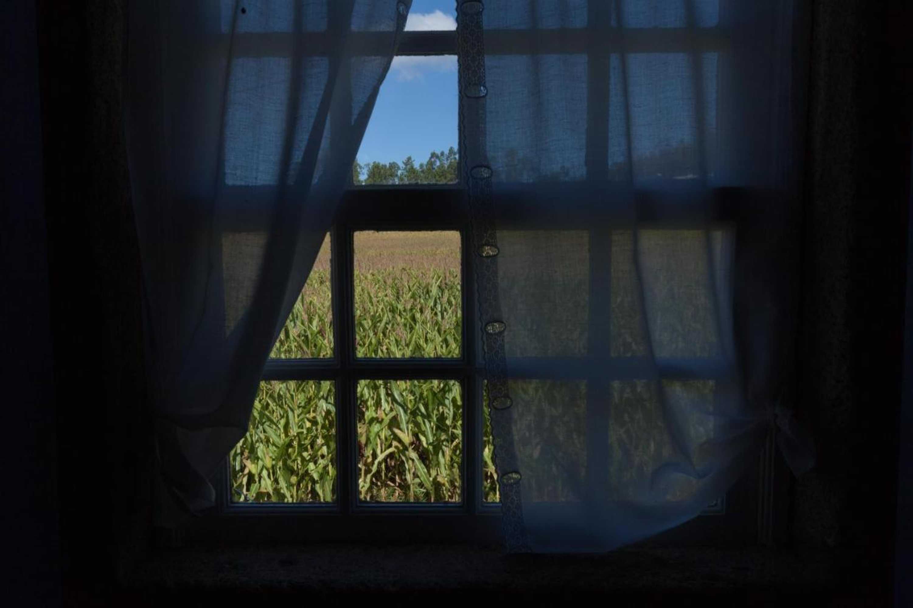 Gift card for Casa de Assade