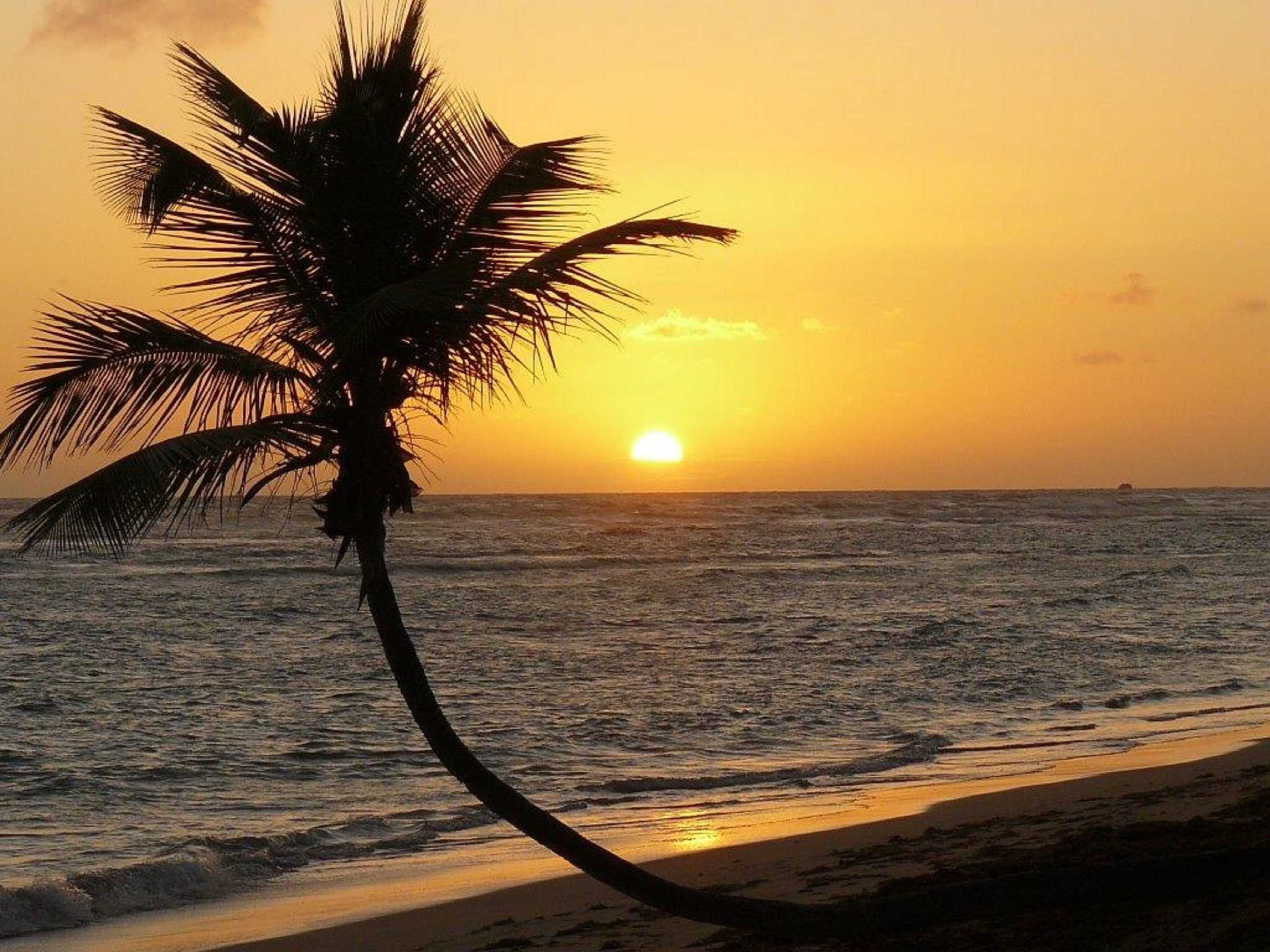 Gift card for Grand Sirenis Punta Cana Resort & Aquagames - All Inclusive Gift card for Grand Sirenis Punta Cana Resort & Aquagames - All Inclusive
