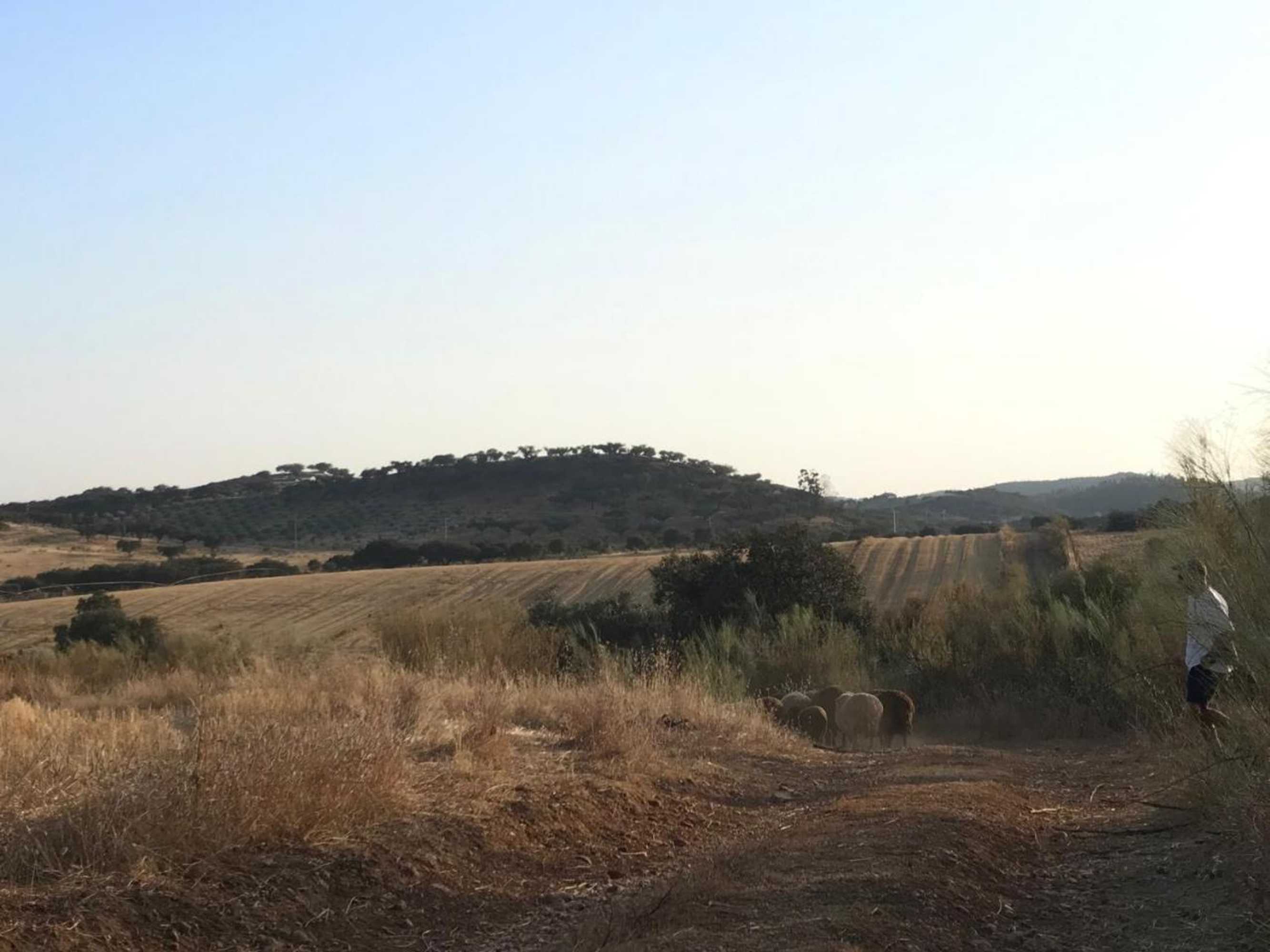 Gift card for Monte Dos Vicentes