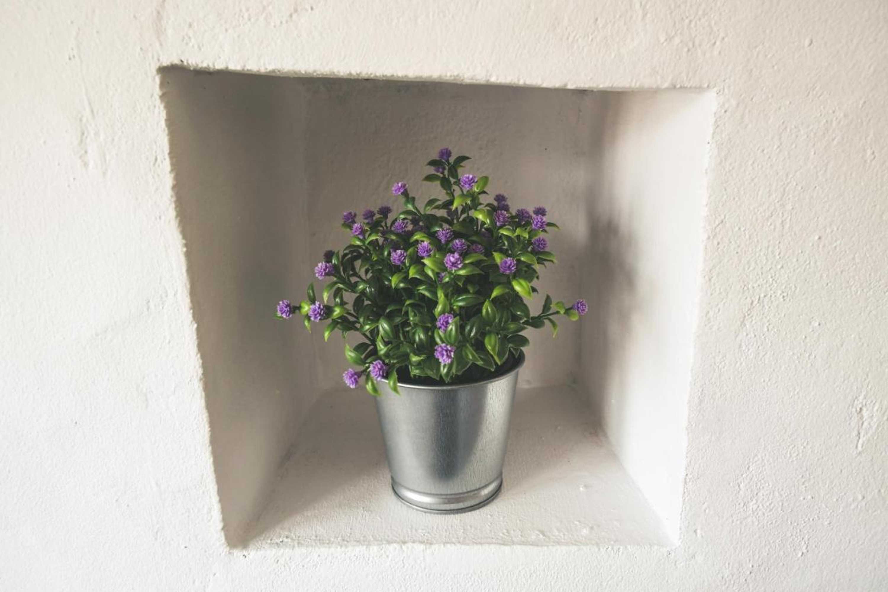 Gift card for Casas da Faia - Nature Guest House