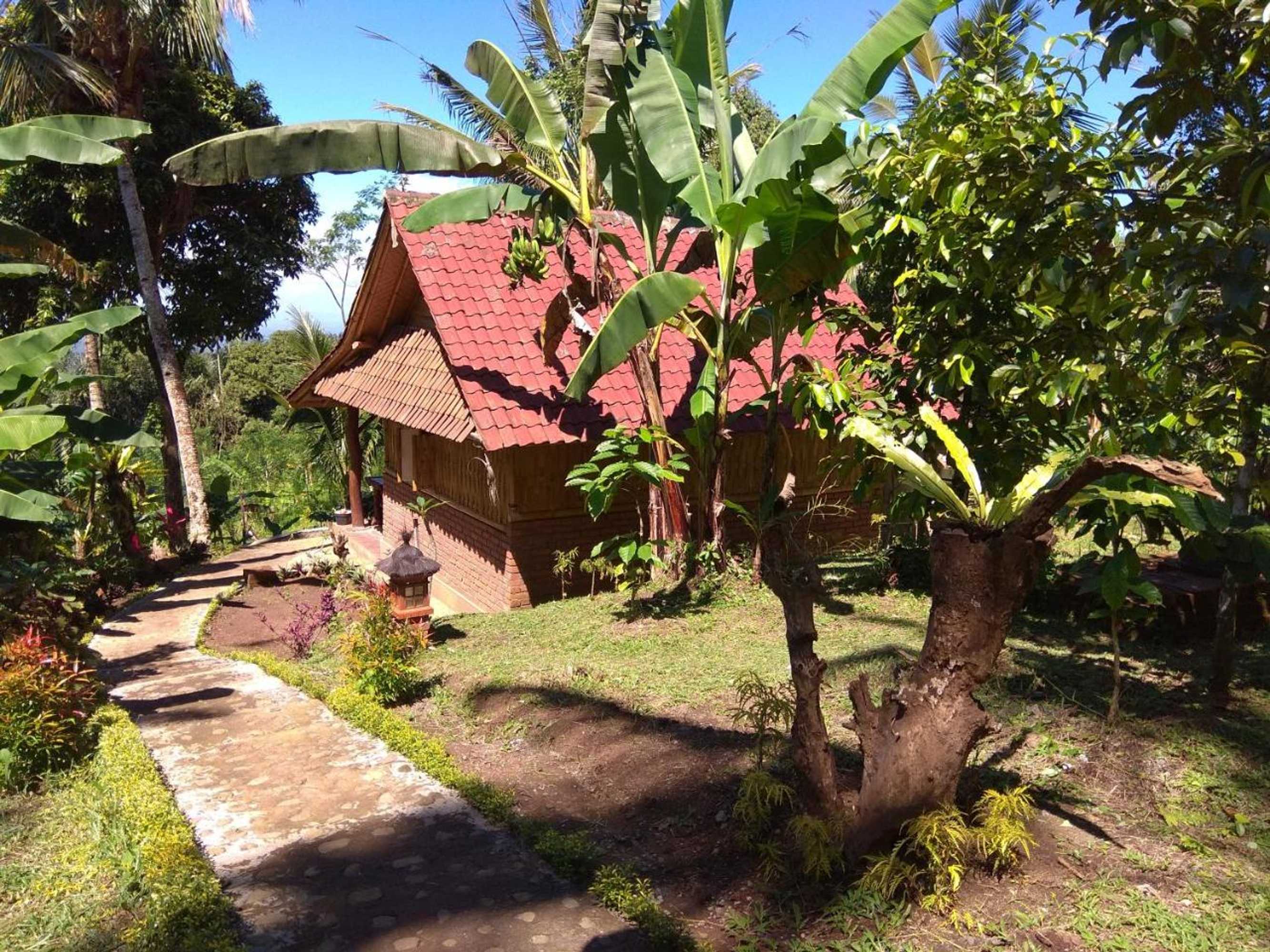 Gift card for Bali Mountain Forest Cabin