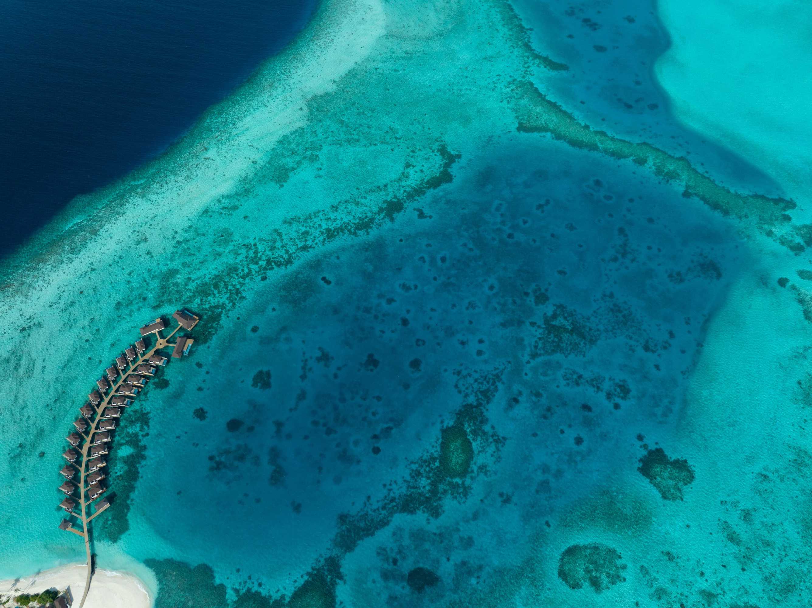 Gift card for Avani Plus Fares Maldives Resort - 50 Percent Off on Seaplane Transfer For Stays Until 22 December 2024 Gift card for Avani Plus Fares Maldives Resort - 50 Percent Off on Seaplane Transfer For Stays Until 22 December 2024