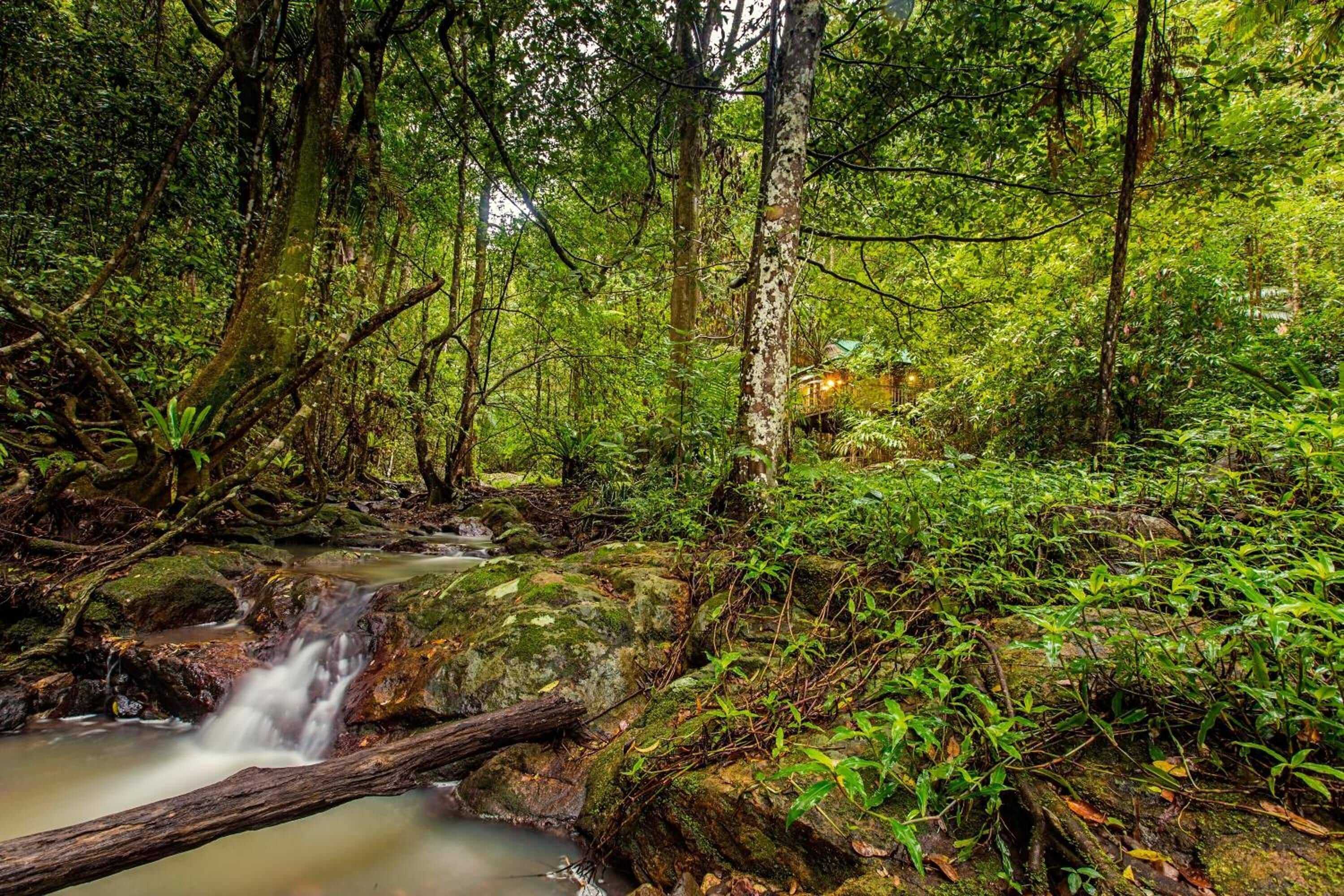 Gift card for Narrows Escape Rainforest Retreat Gift card for Narrows Escape Rainforest Retreat