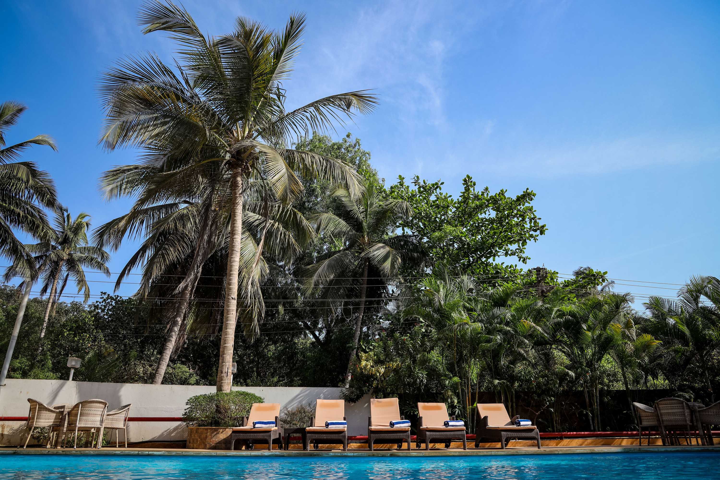 Gift card for Amor Beach Resort Gift card for Amor Beach Resort