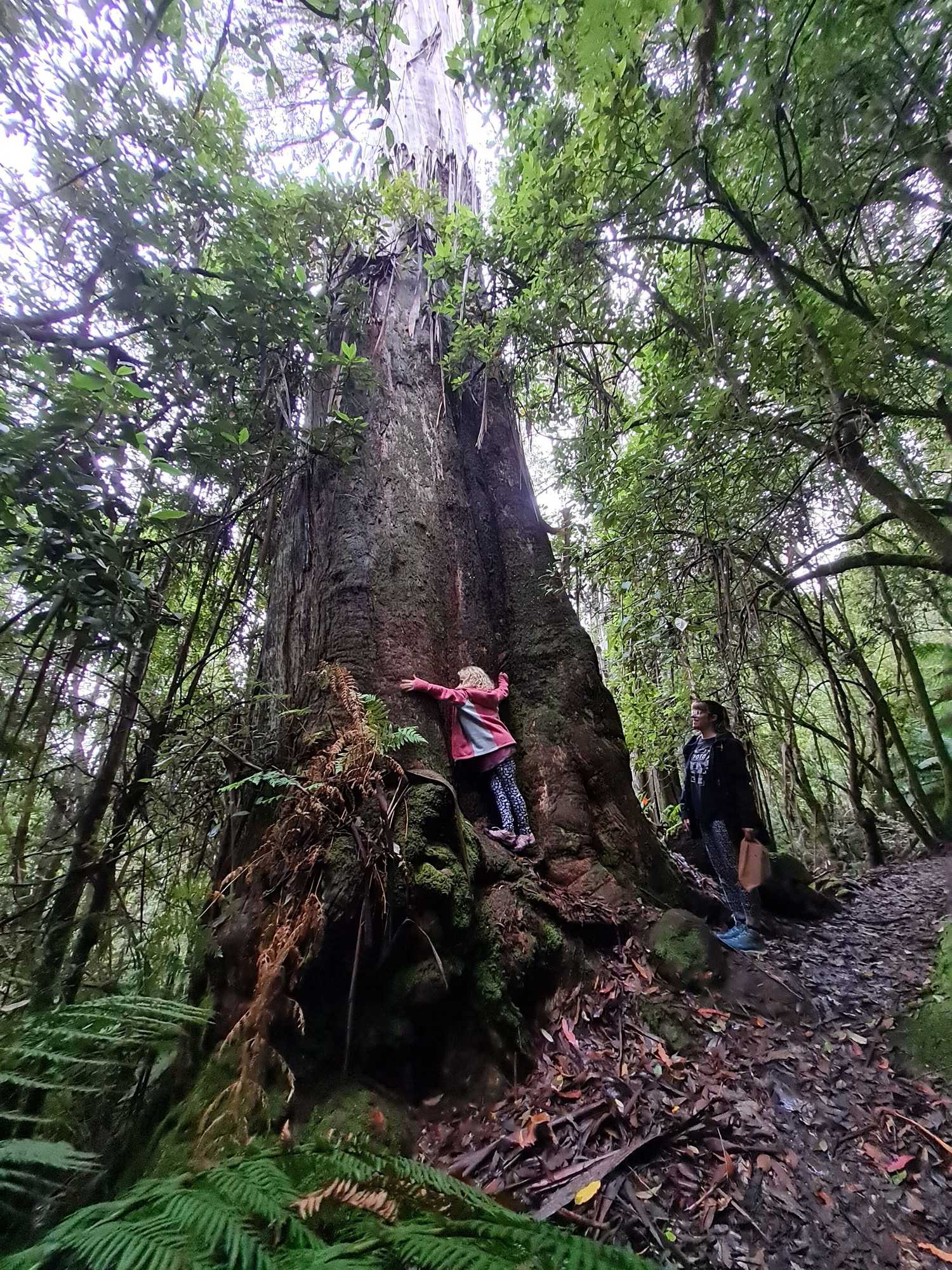 Gift card for Huon Bush Retreats