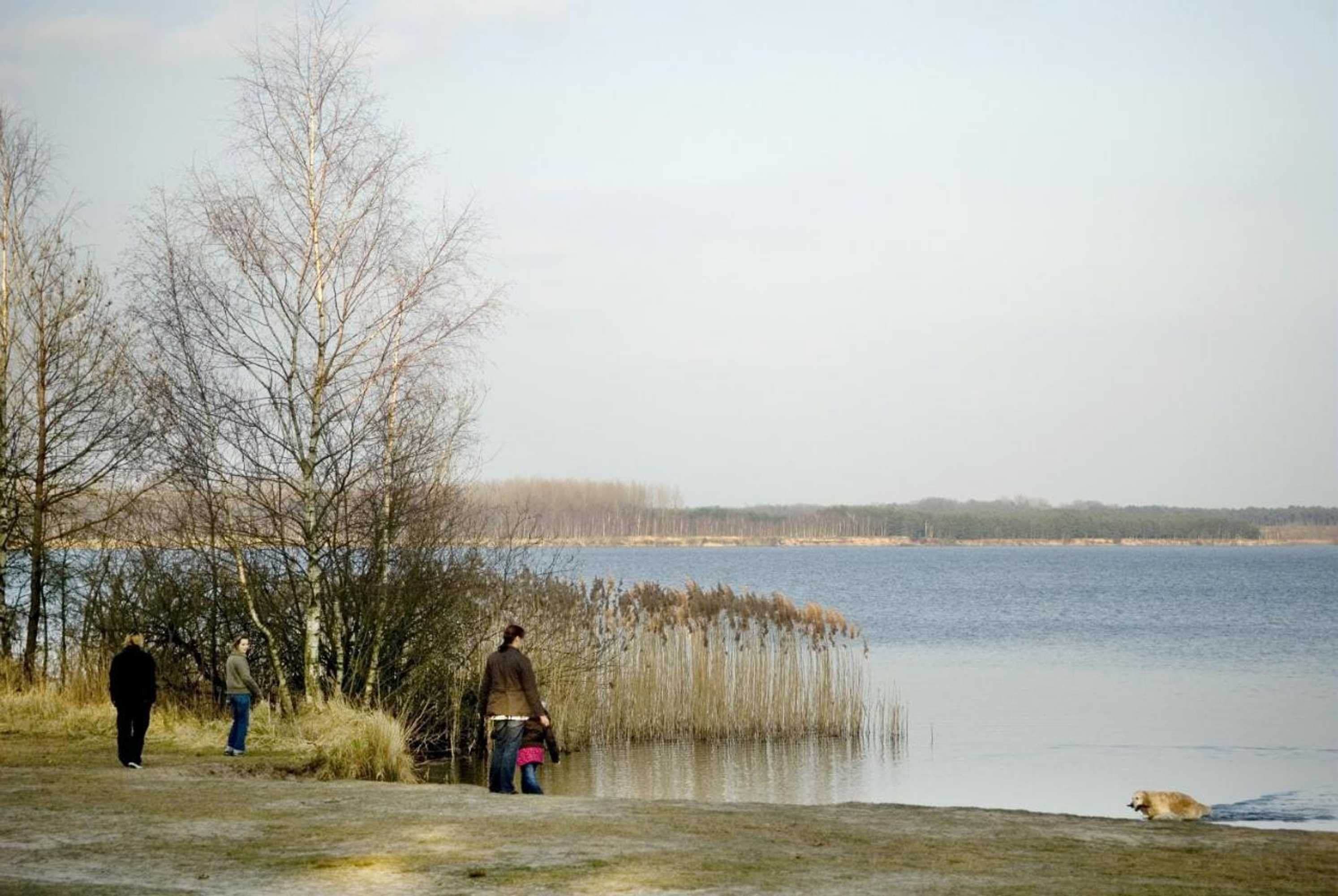 Gift card for Hotel Sunparks Kempensen Meren