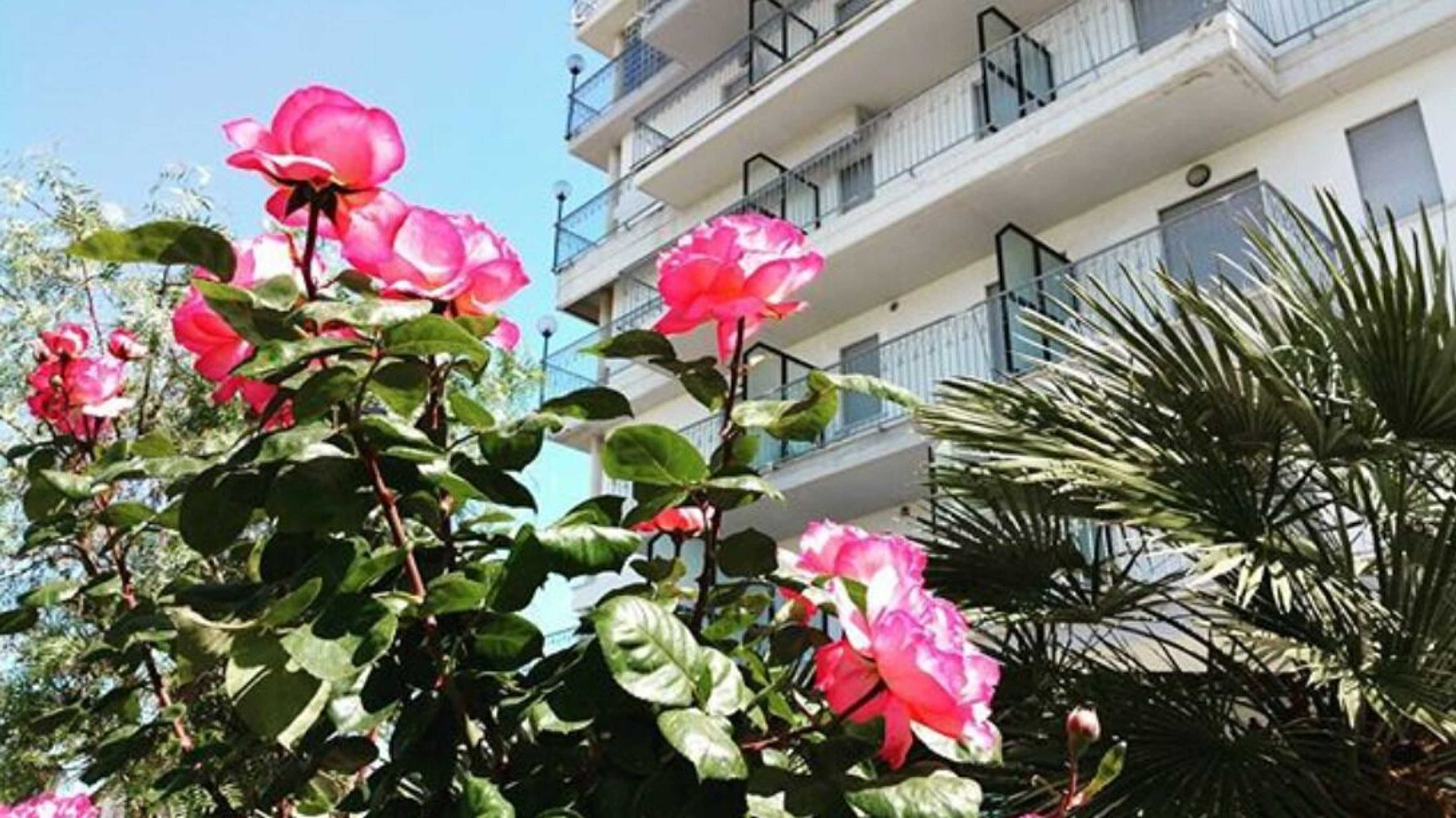 Gift card for Hotel Villa Truentum Gift card for Hotel Villa Truentum