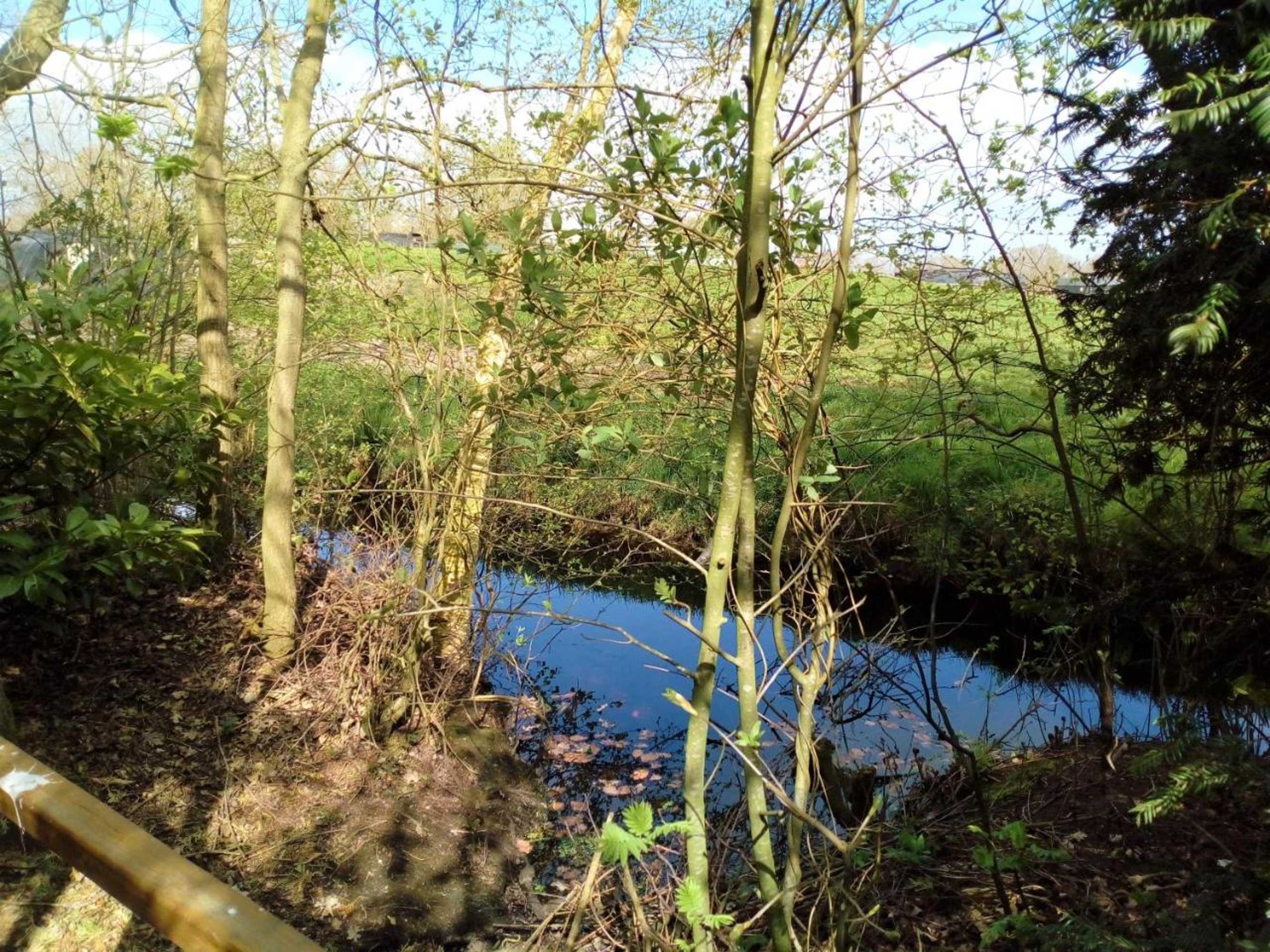 Gift card for B&b De Flecht - De Ljip