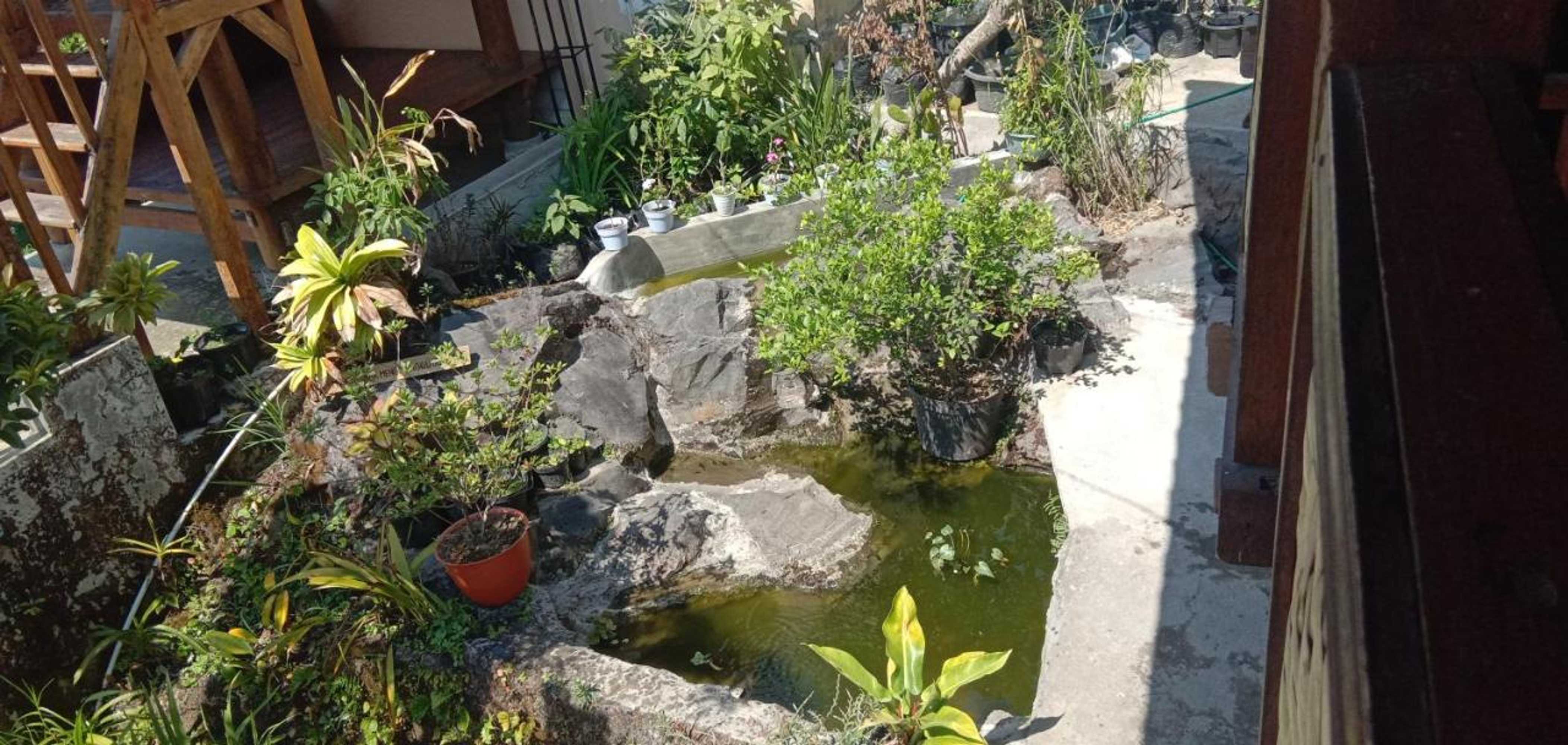 Gift card for Radiya Guesthouse