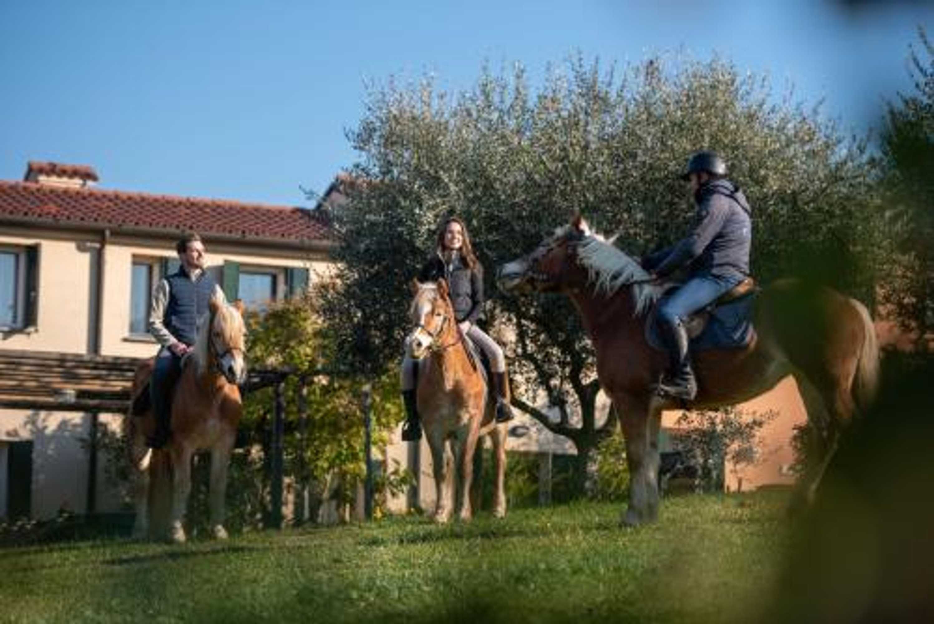 Gift card for Terre Bianche Agriturismo Gift card for Terre Bianche Agriturismo
