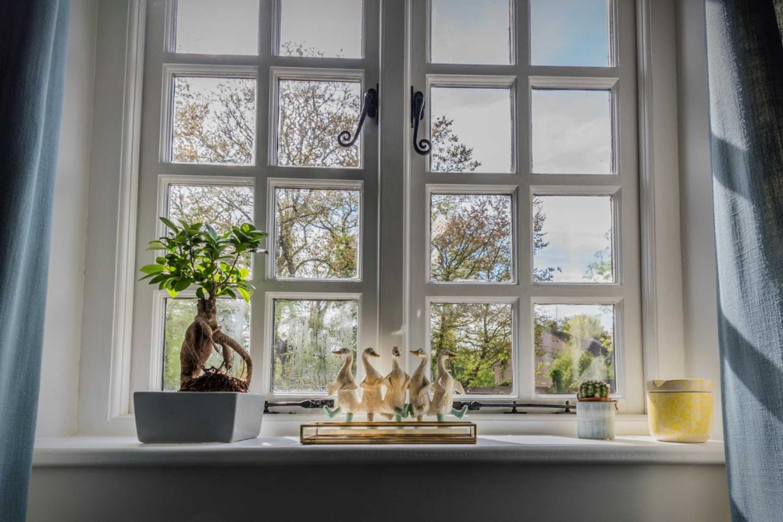 Gift card for The Elm, Abbots Ripton