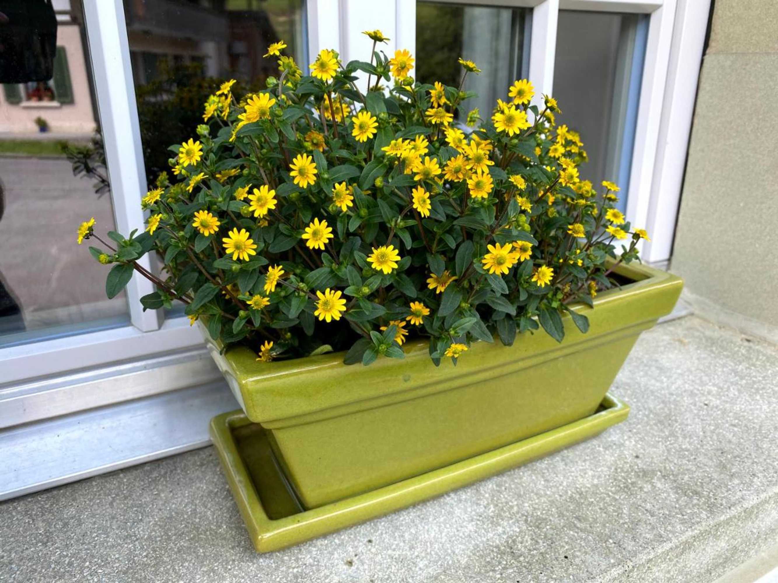 Gift card for B&b Tannen124