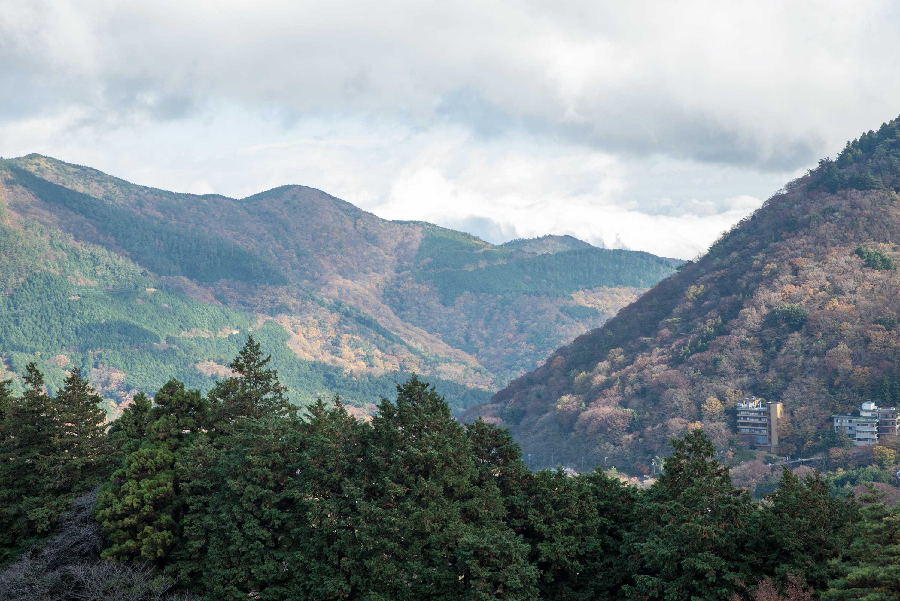 Gift card for Hakone Forest of Verde Gift card for Hakone Forest of Verde