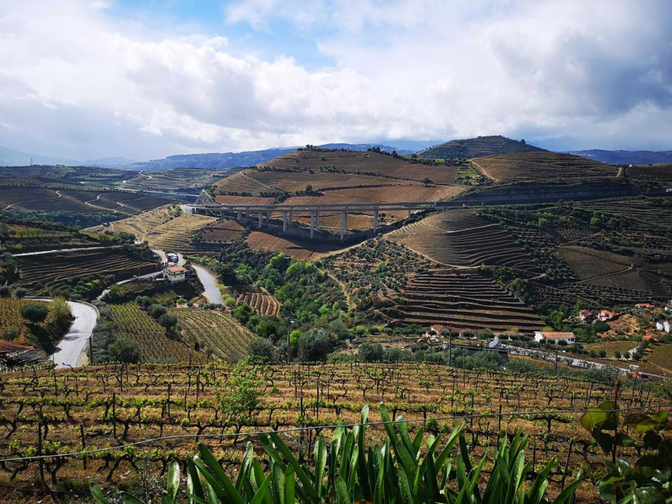 Gift card for Casa do Romezal