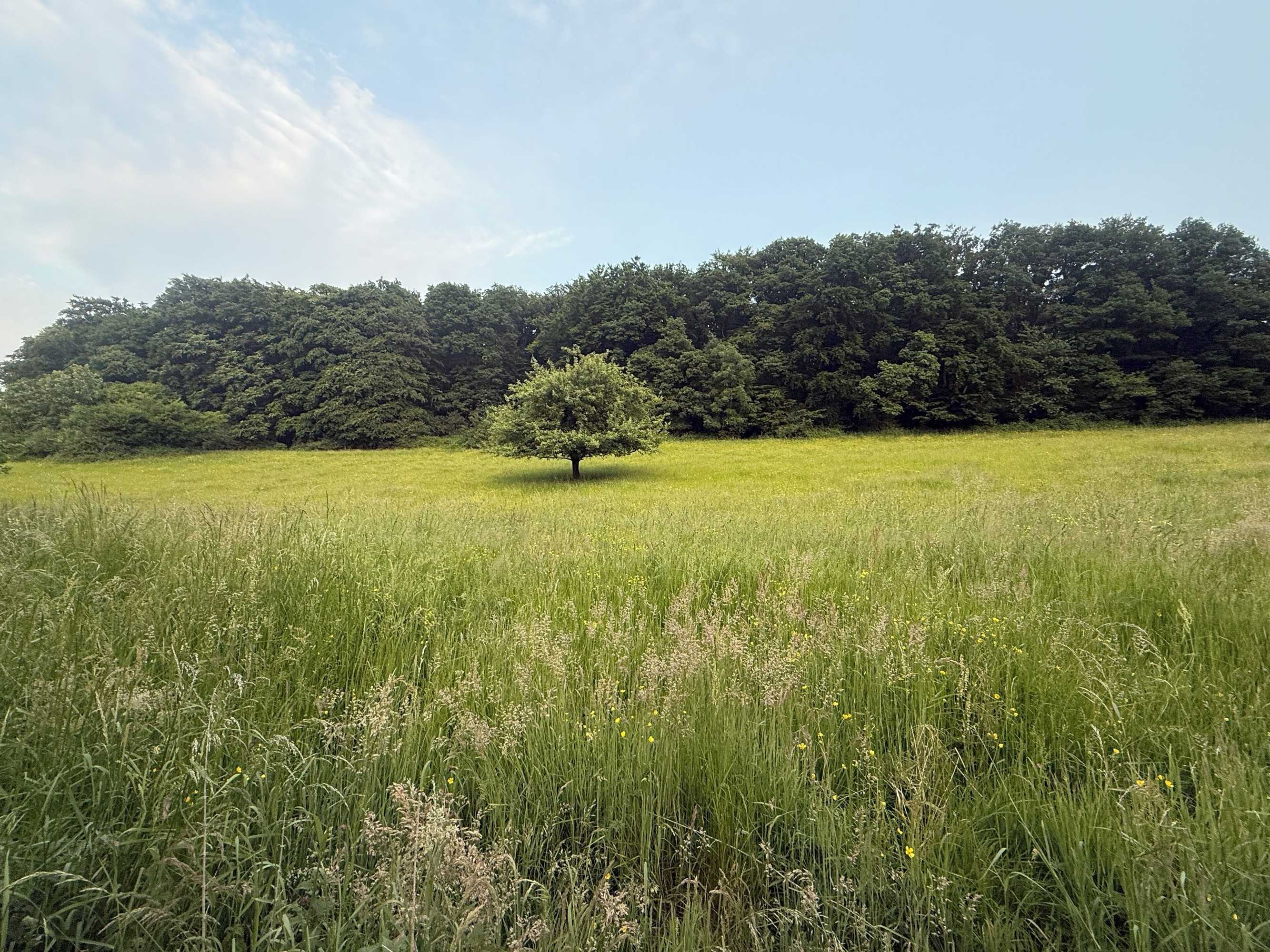 Gift card for Hotel Waldberg