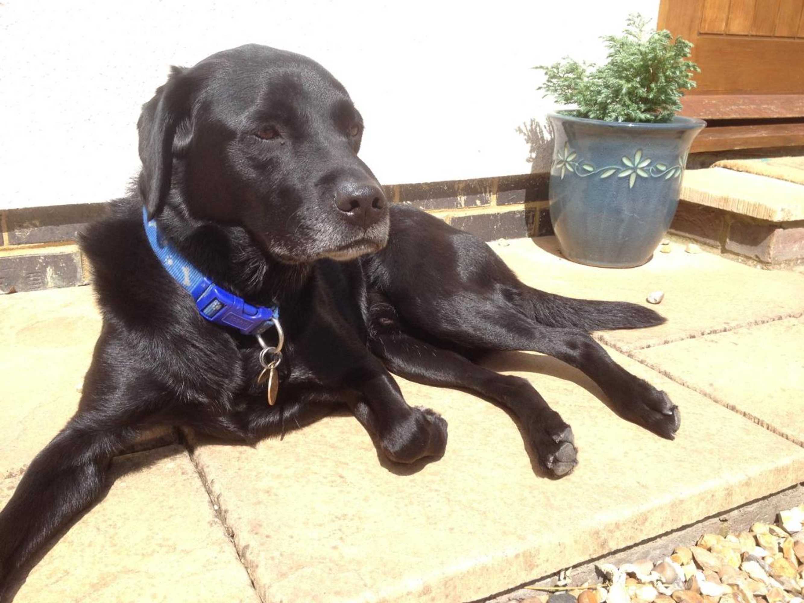 Gift card for The Stables Bed And Breakfast At Pear Tree Cottage