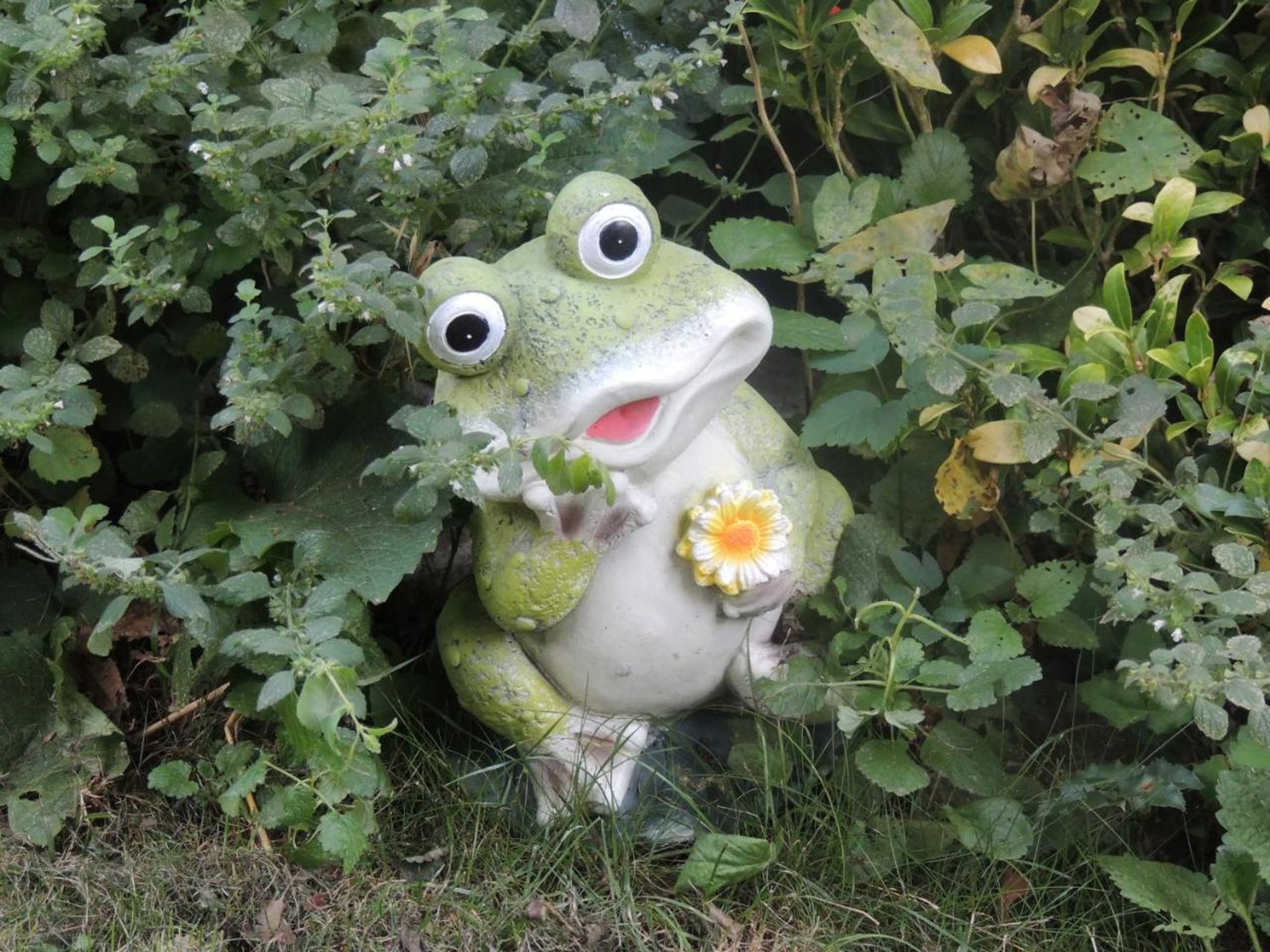 Gift card for Pension Auberge de Dael