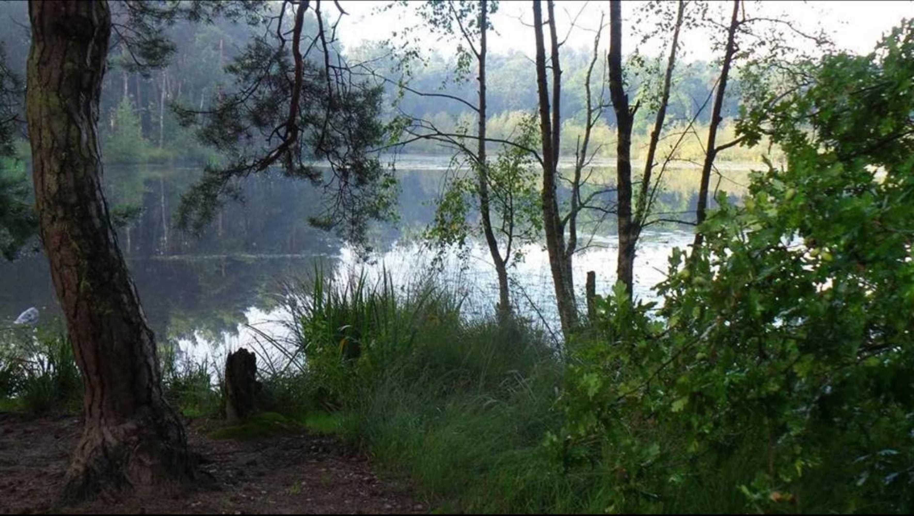 Gift card for Heidebos