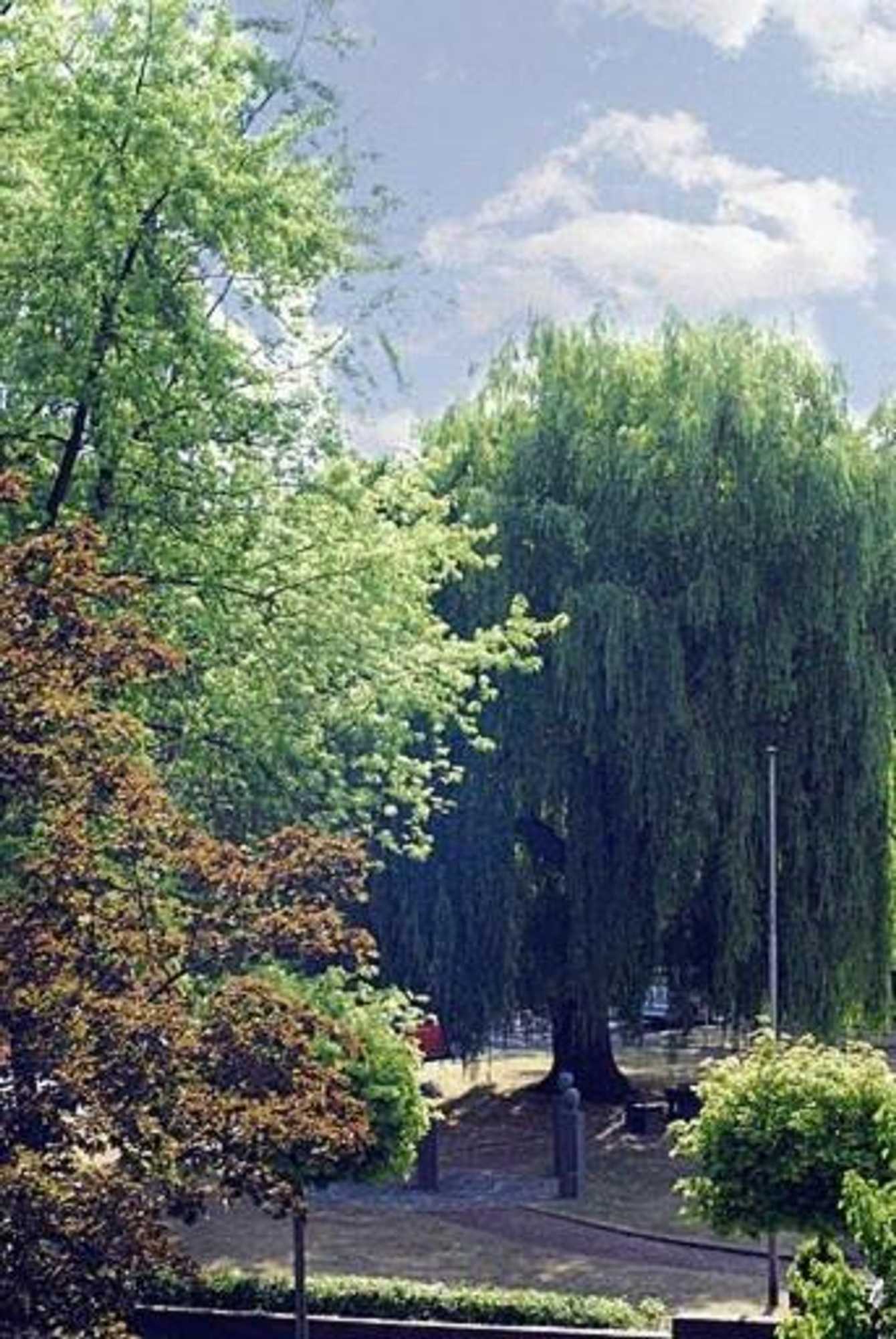 Gift card for Hotel Josten