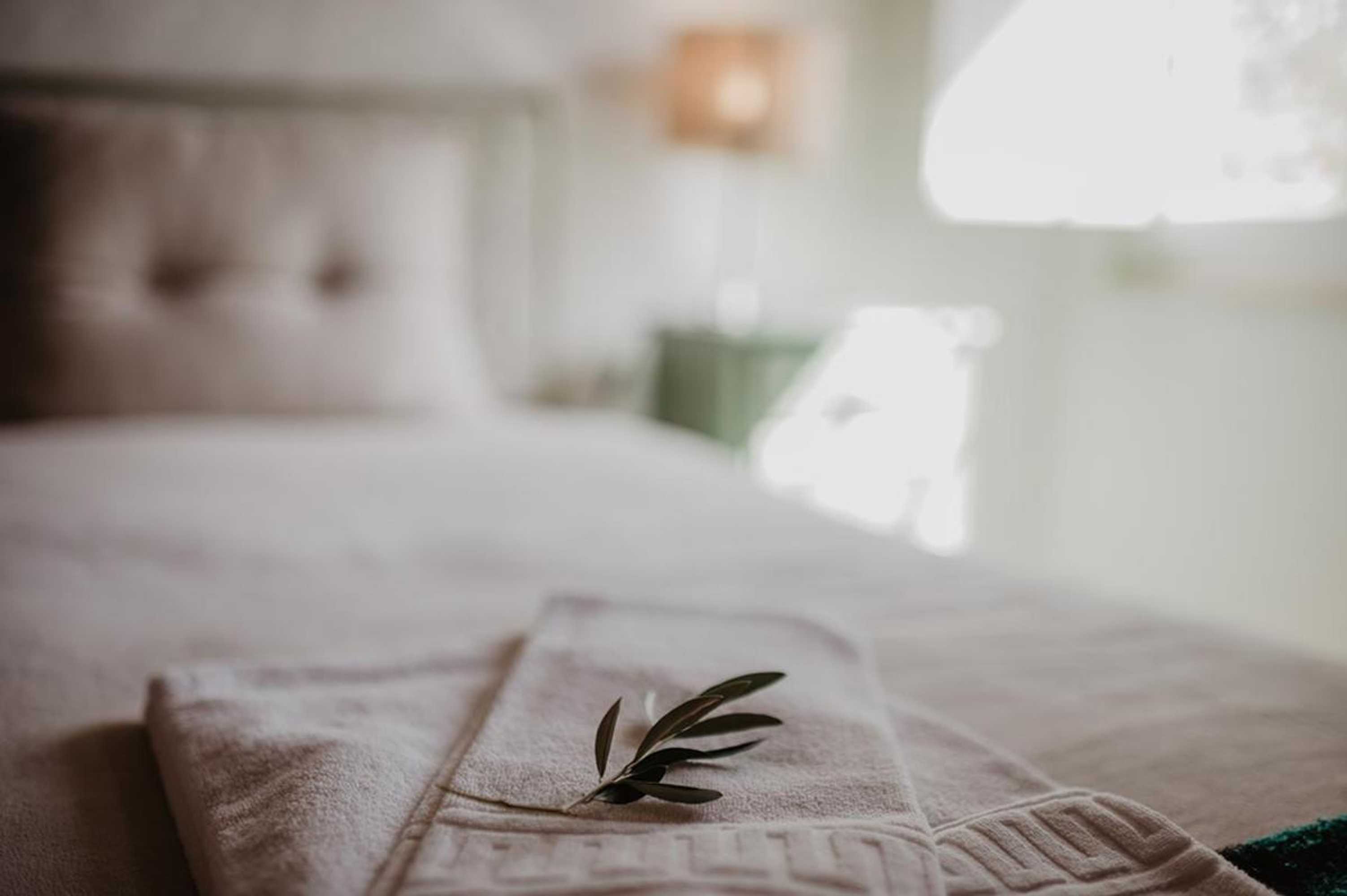 Gift card for Monte do Ramalho