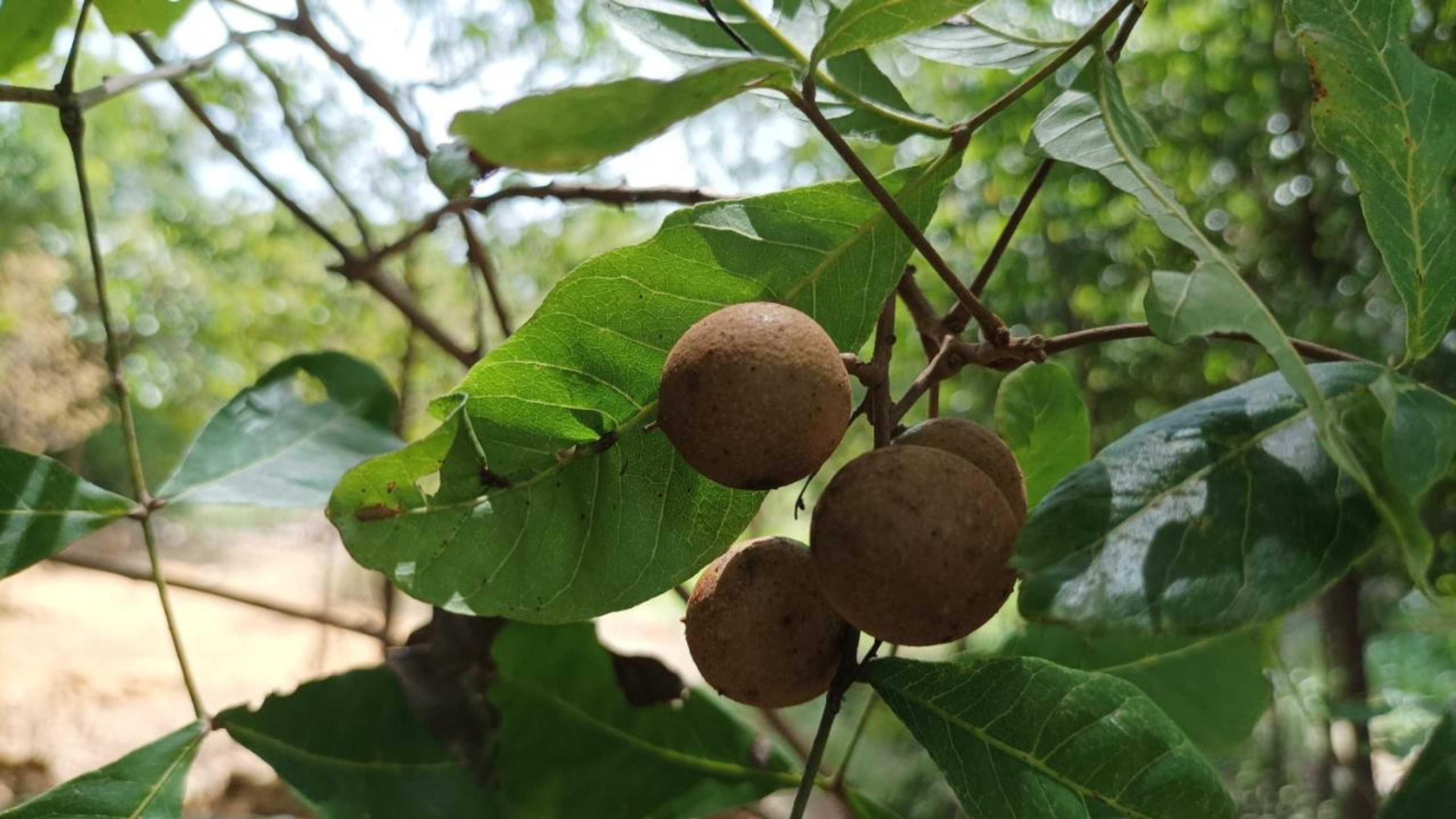 Gift card for Grand Okka Hotel