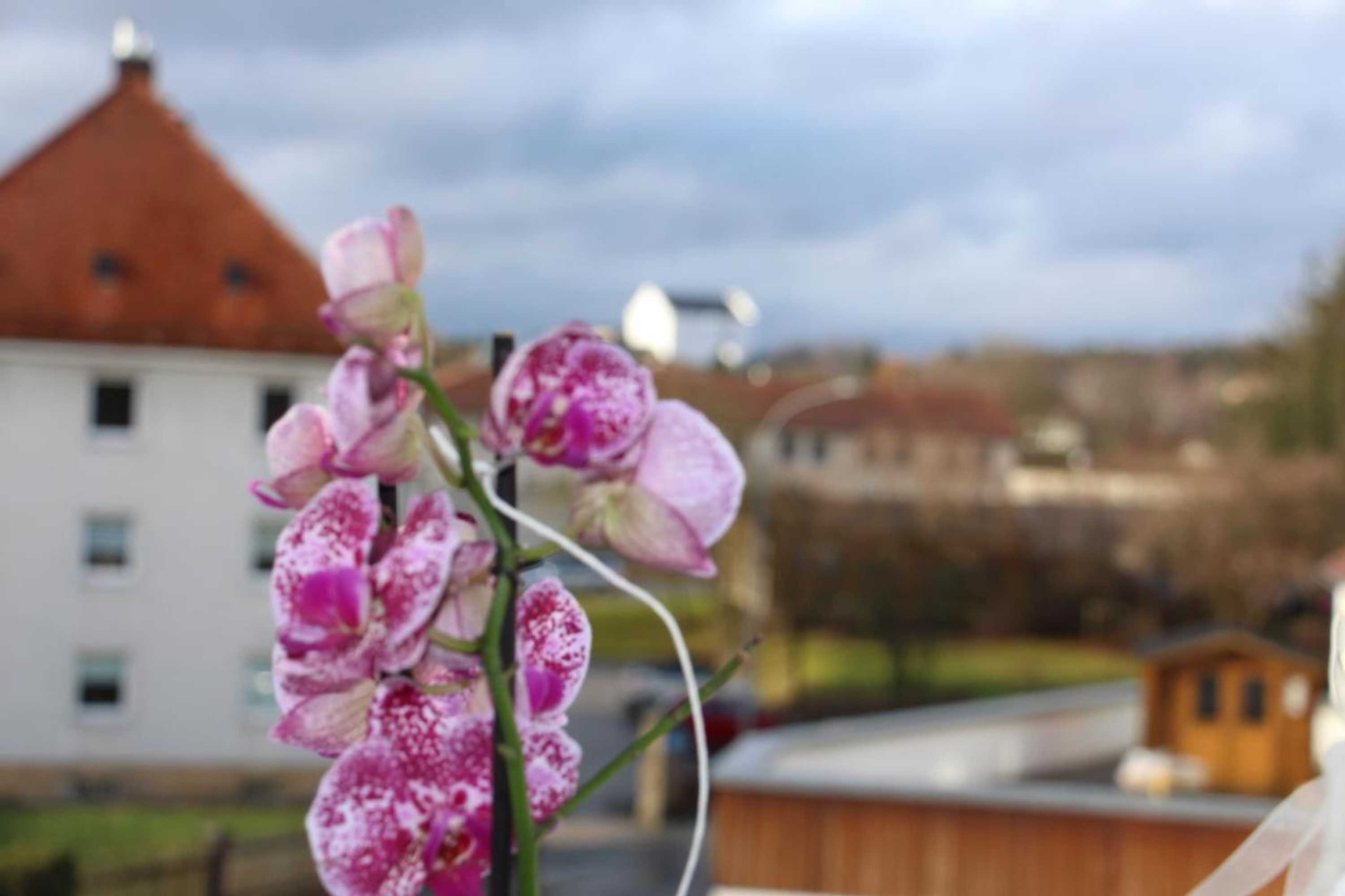 Gift card for Gasthof Gruner Baum