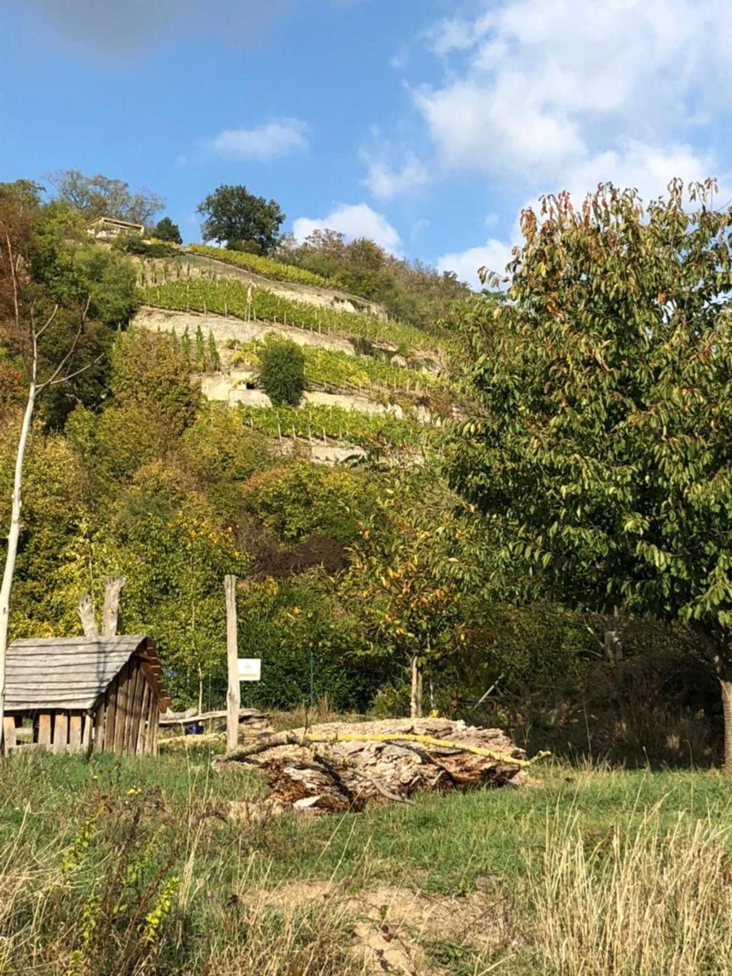 Gift card for Hotel Zum Rebstock