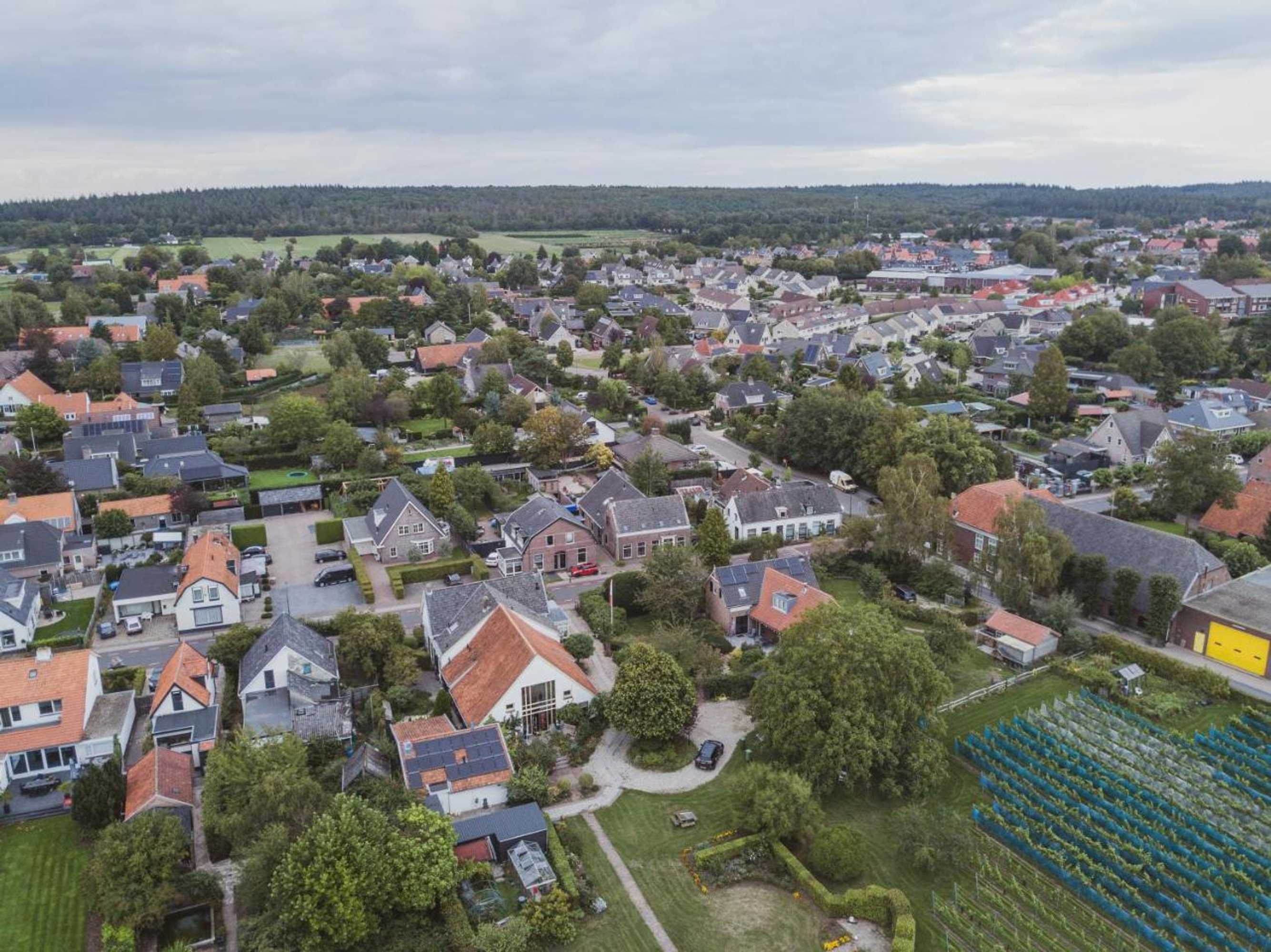 Gift card for Bed & Breakfast Bloemen Vertellen