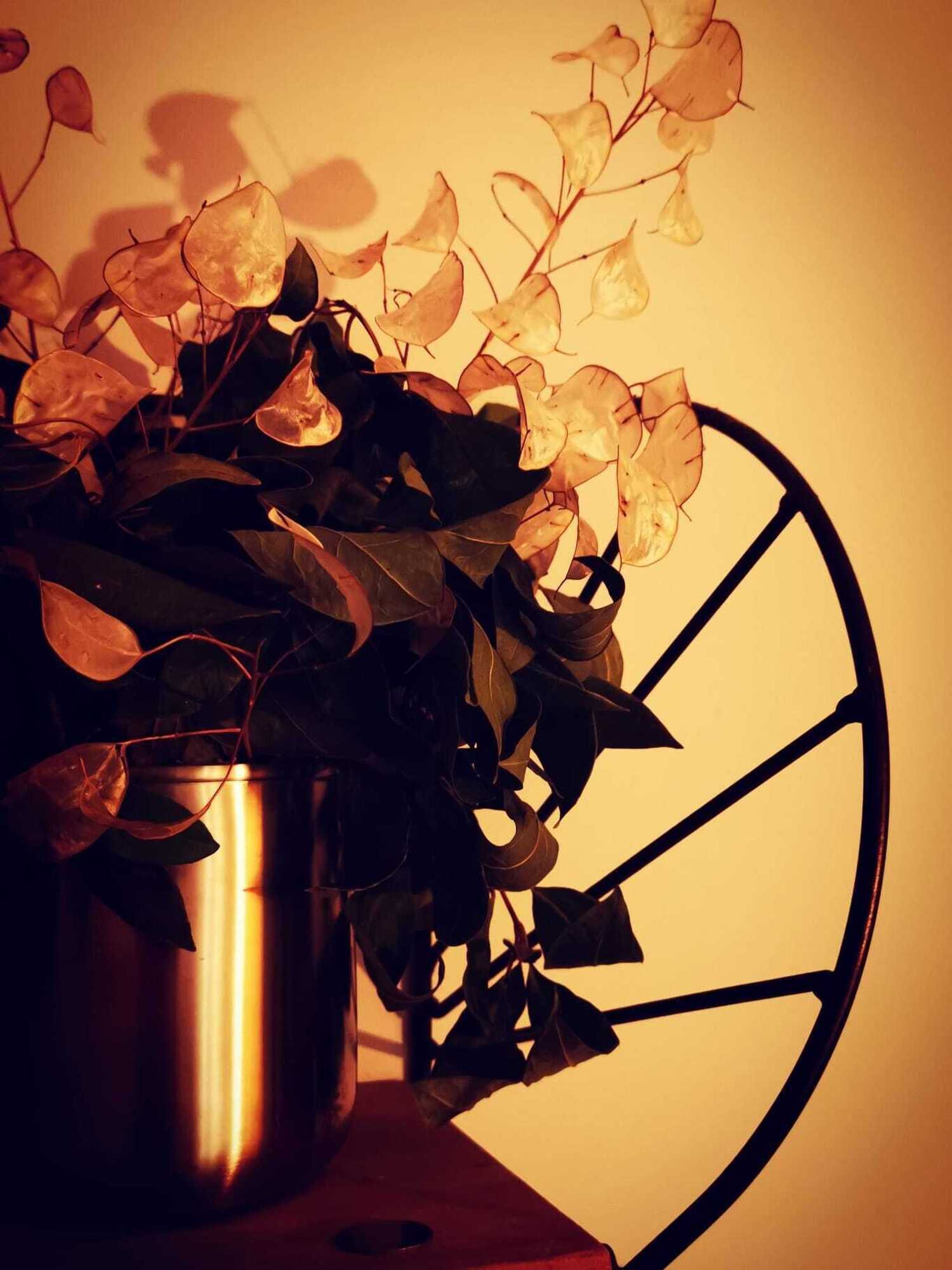 Gift card for Casa do Castelo