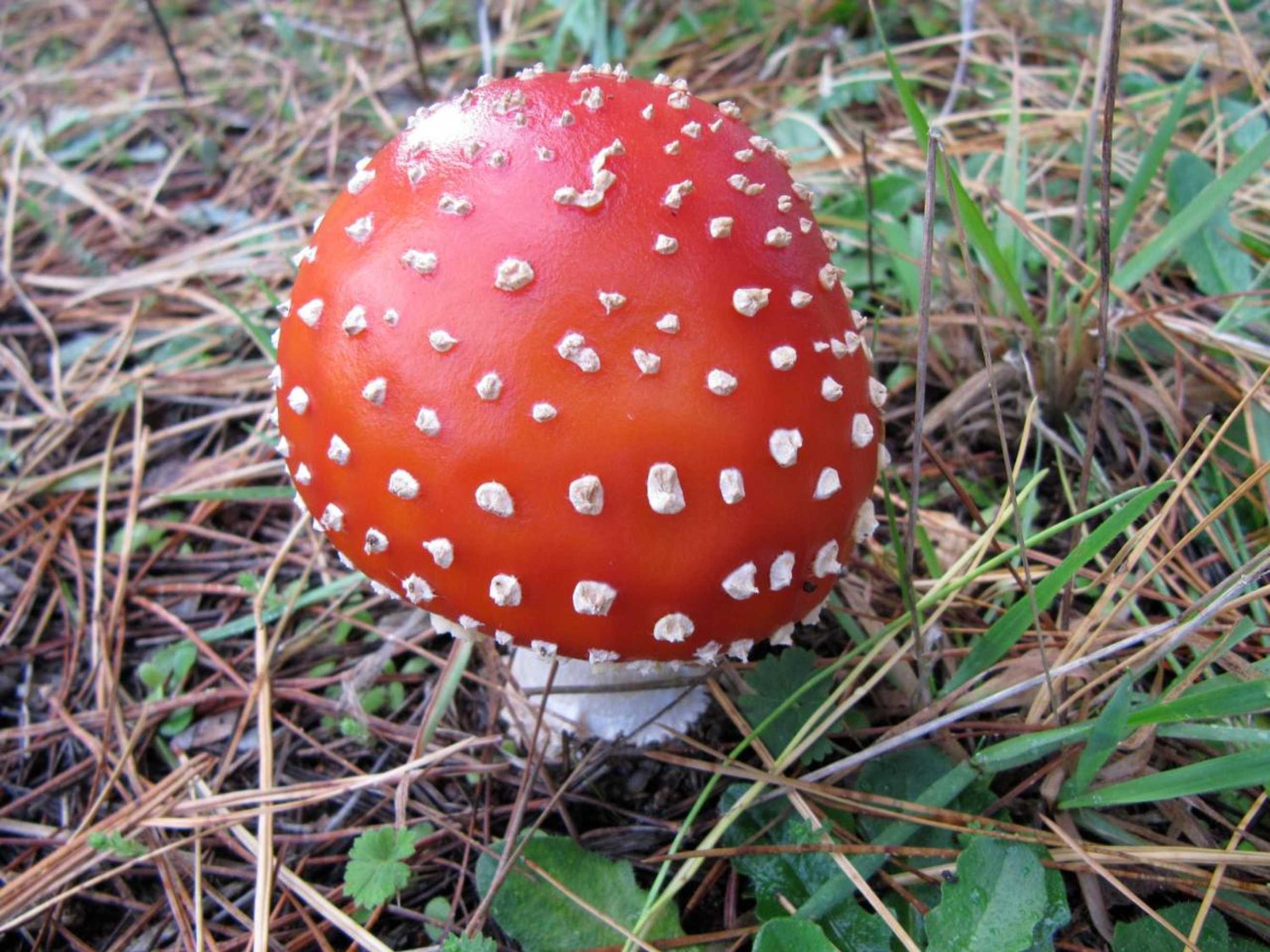 Gift card for Llarrinda Bed & Breakfast