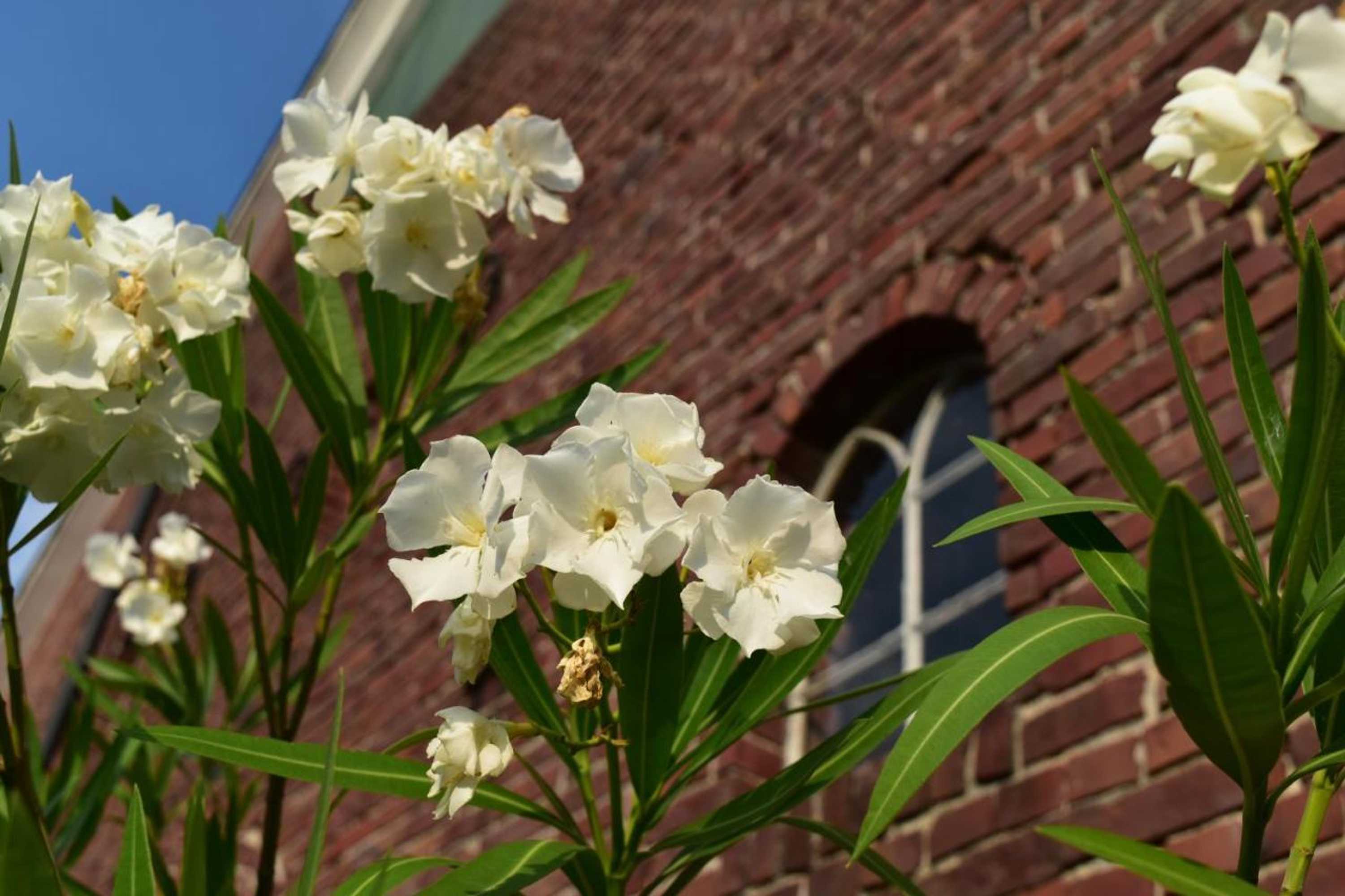 Gift card for Kreativhof Lehmberg