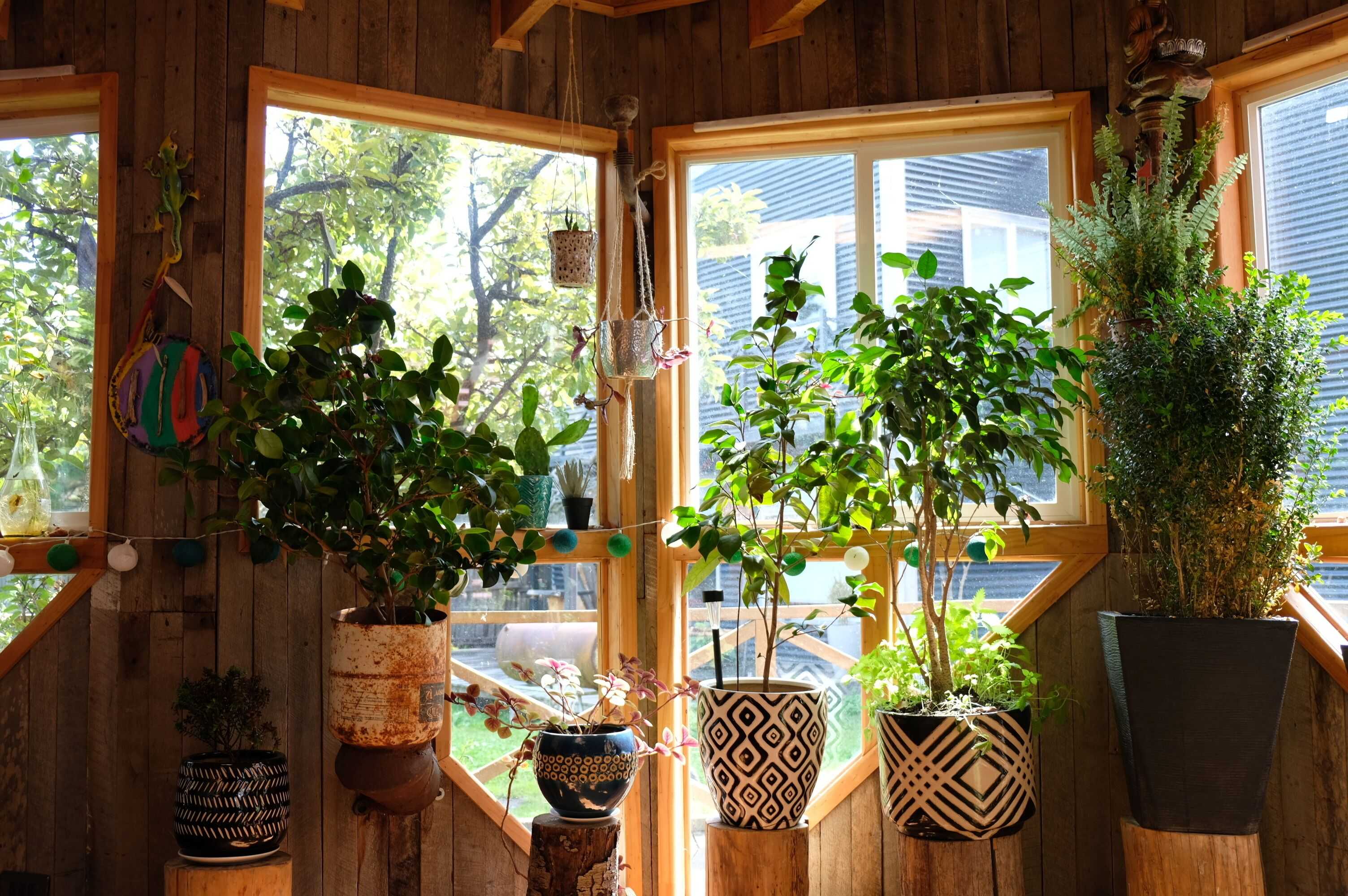 Gift card for Yagan House