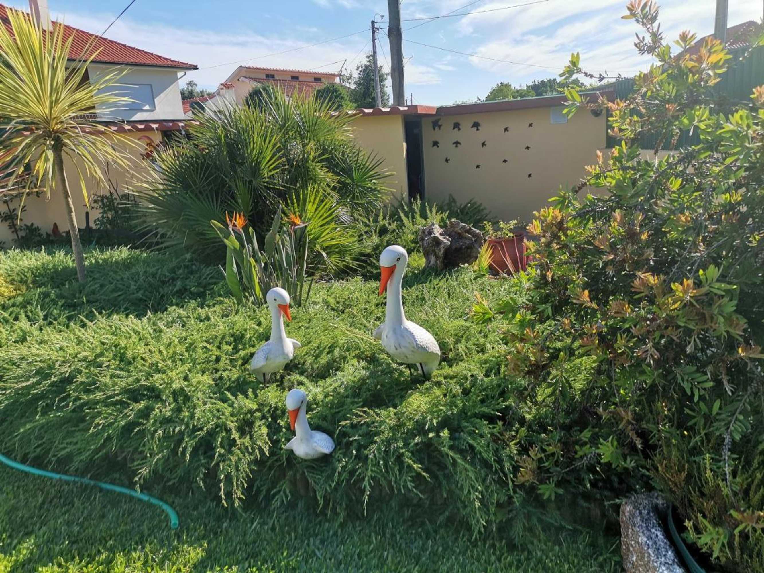 Gift card for Casa Flor da Laranjeira